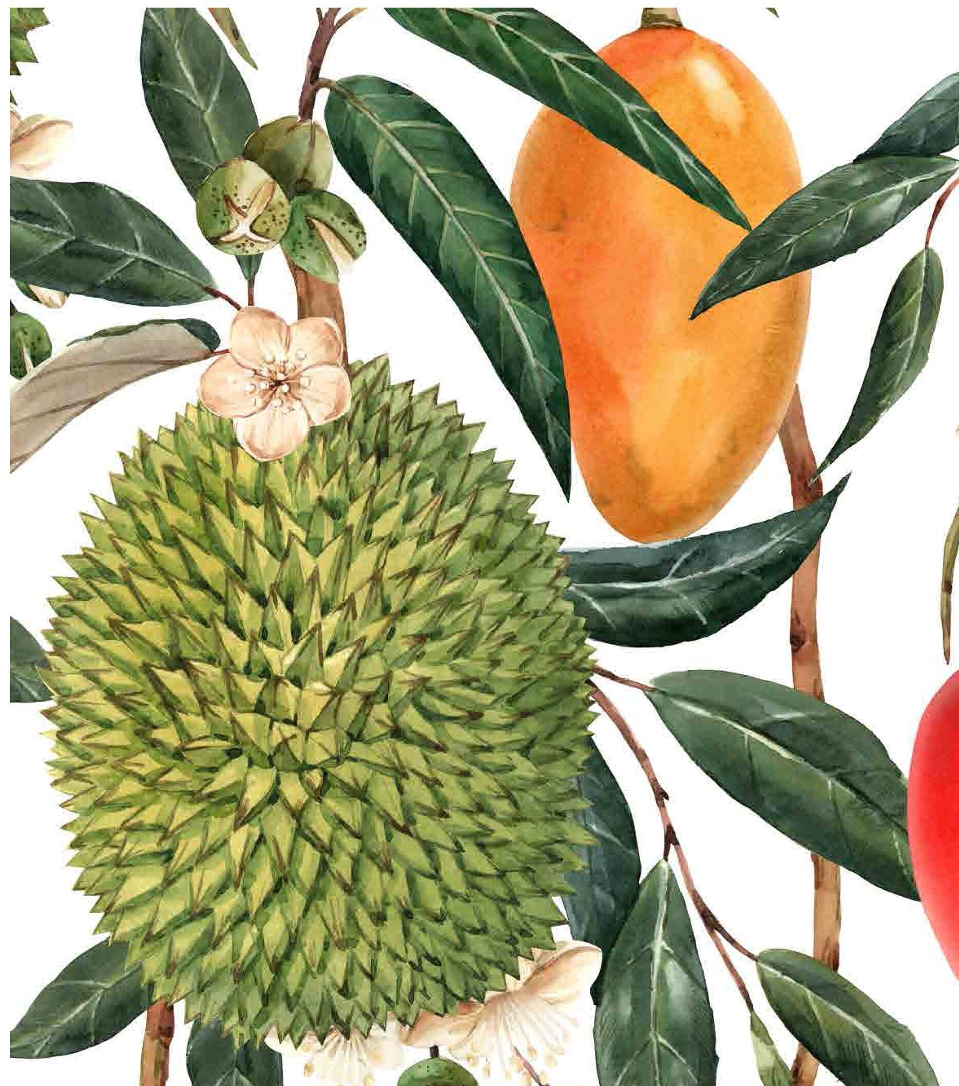 Tropical - Decoupage Paper for Furniture - Rice Paper Decoupage - Large Decoupage Paper - Tropical Fruits and Flowers Decoupage