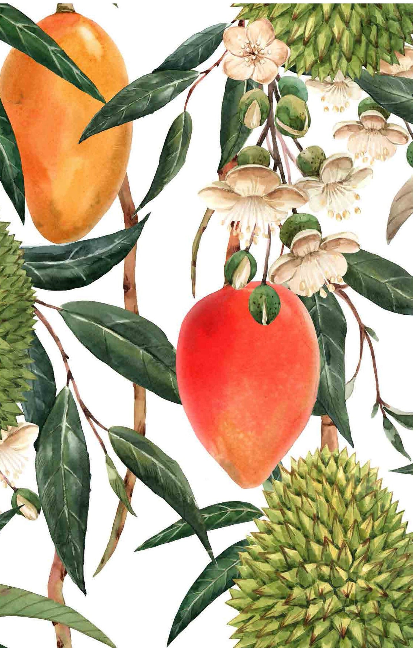 Tropical - Decoupage Paper for Furniture - Rice Paper Decoupage - Large Decoupage Paper - Tropical Fruits and Flowers Decoupage