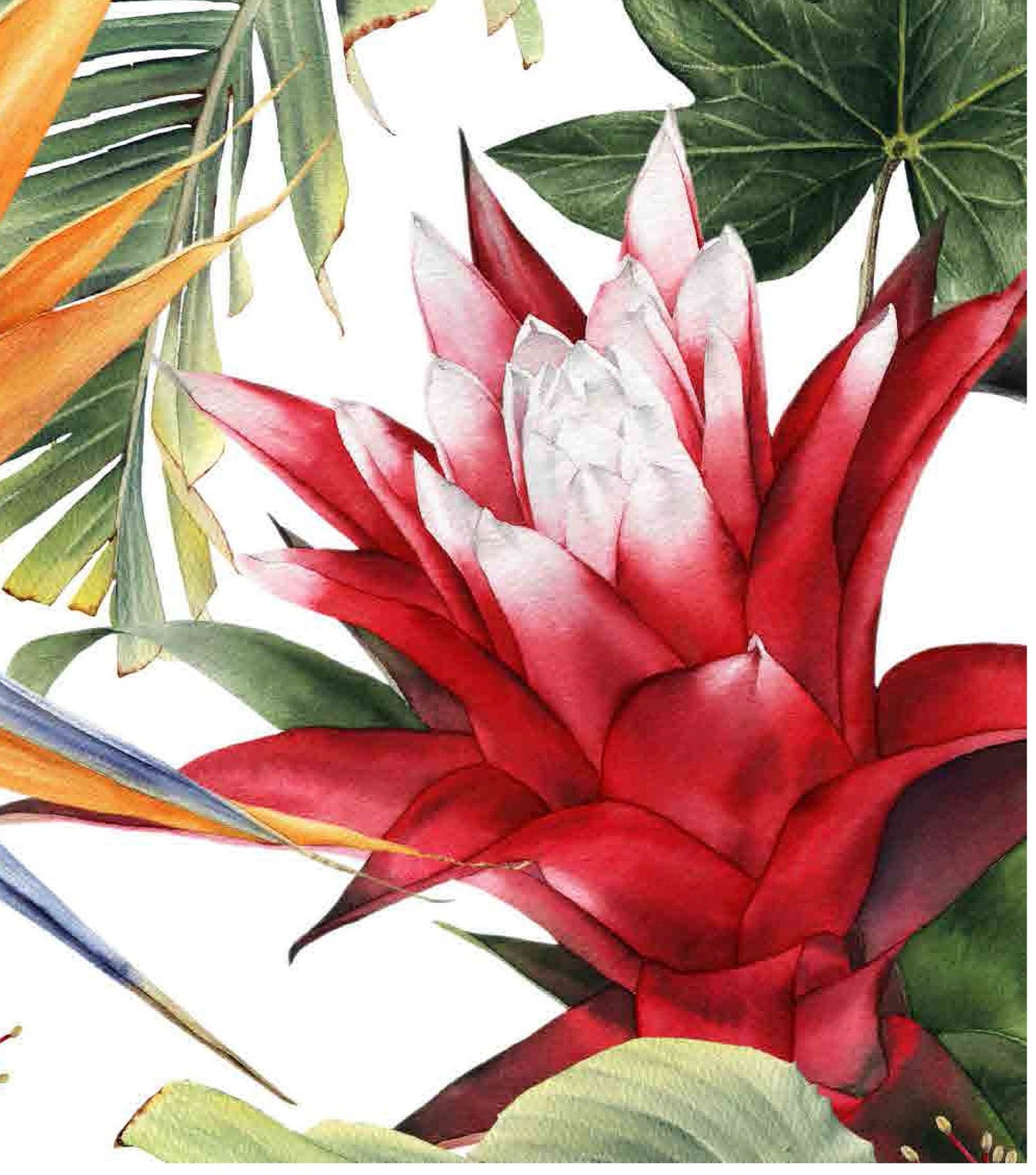 Decoupage Paper for Furniture - Rice Paper Decoupage - Large Decoupage Paper - Tropical Colorful Flowers Decoupage
