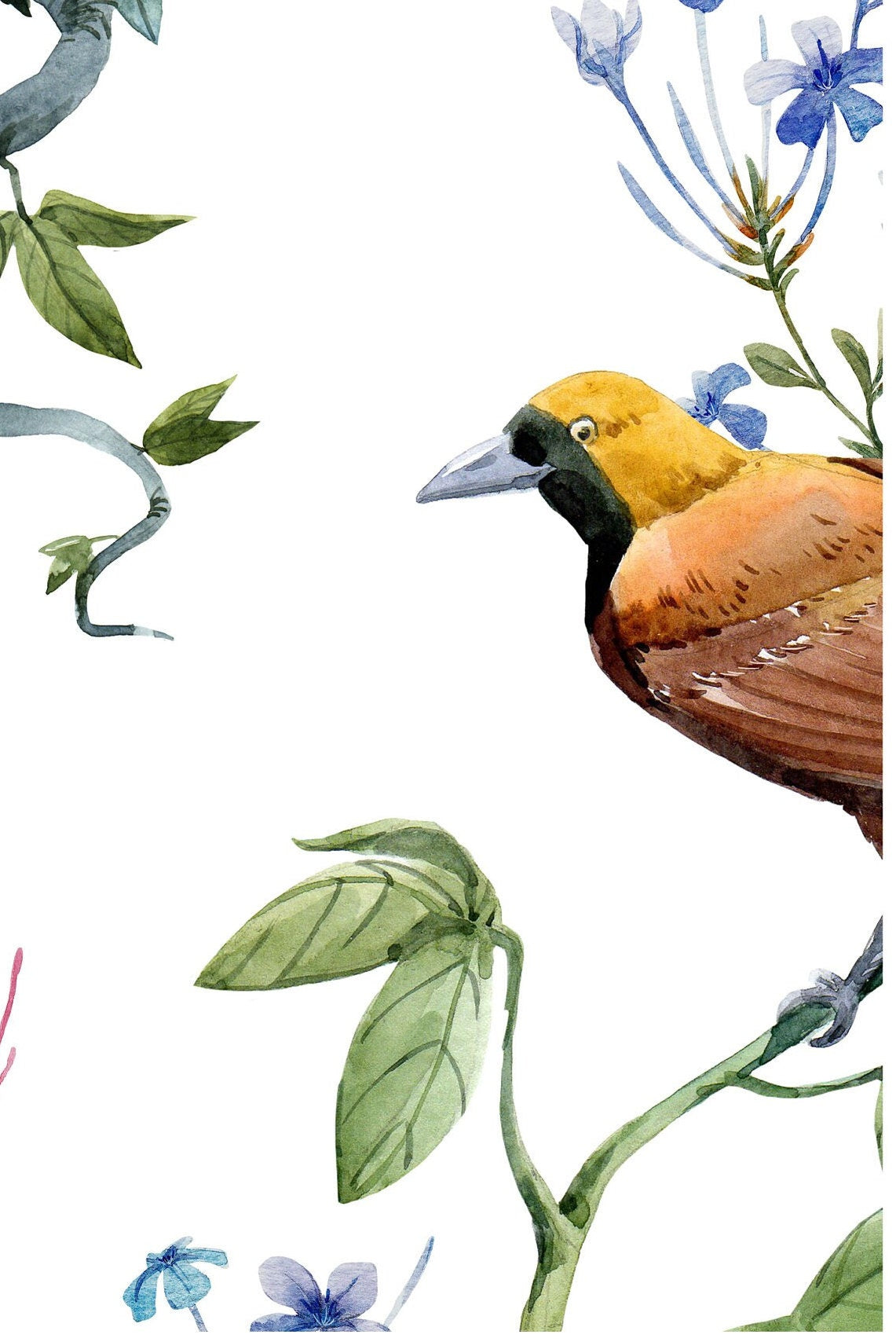 Decoupage Paper for Furniture - Rice Paper Decoupage - Large Decoupage Paper - Tropical Birds Decoupage