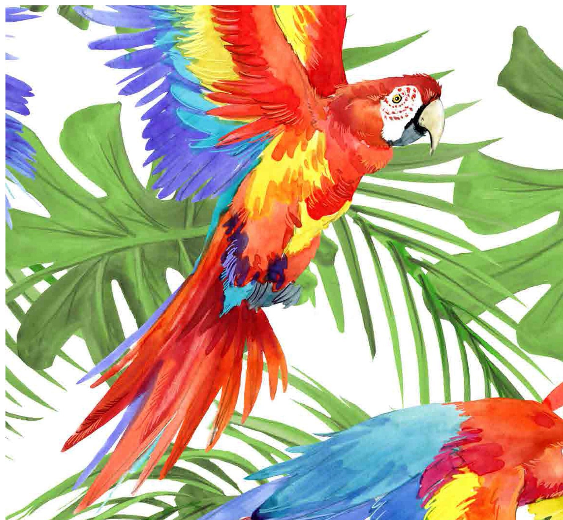 Parrots - Decoupage Paper for Furniture - Rice Paper Decoupage - Large Decoupage Paper - Tropical Birds Decoupage