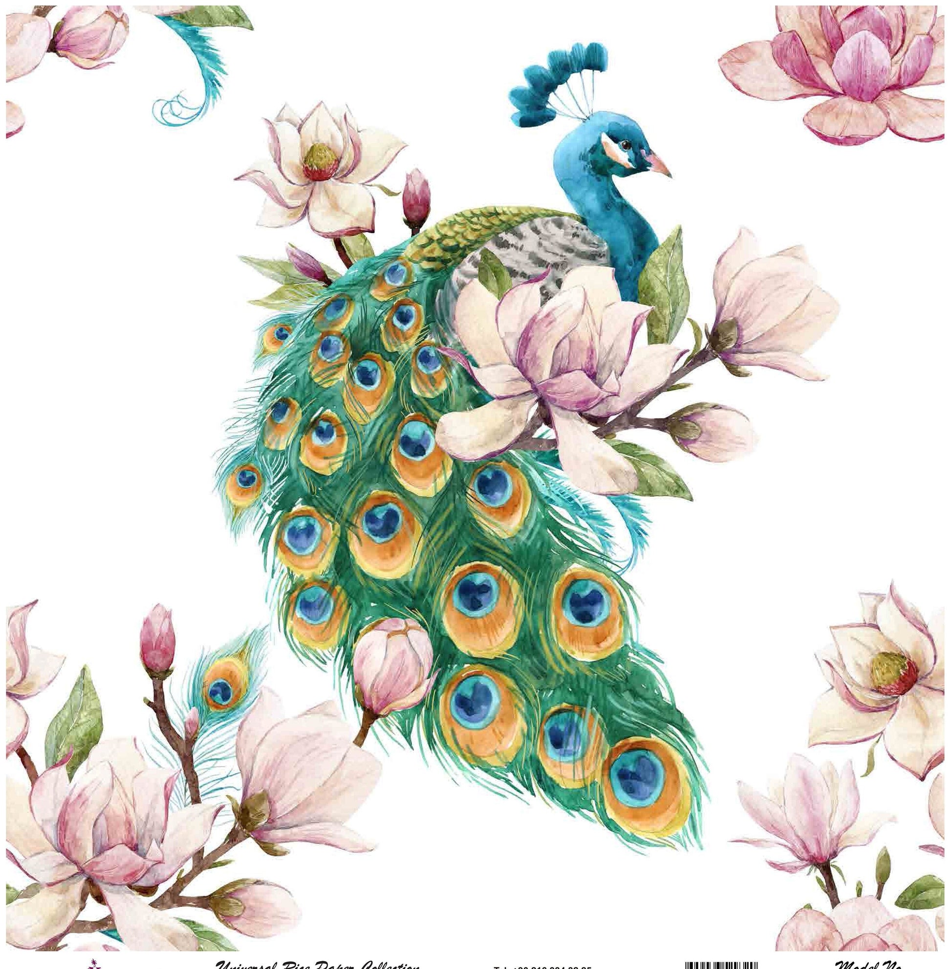 peacock decoupage paper