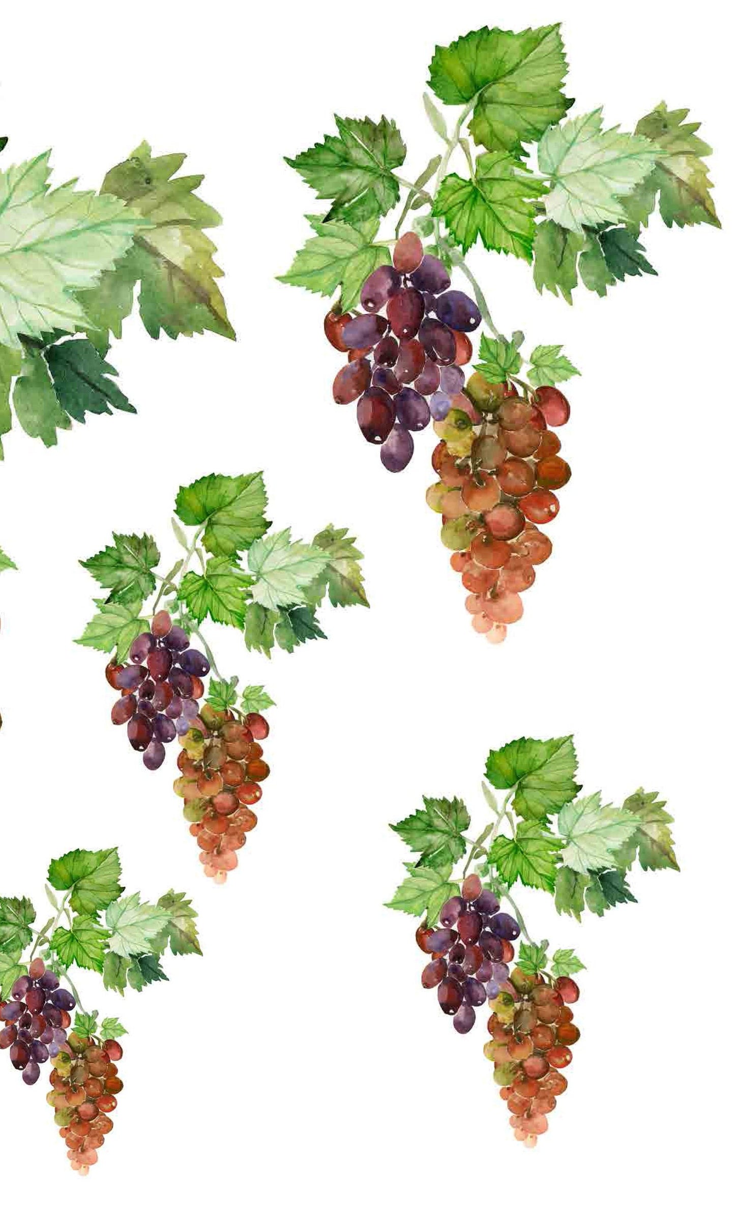 Pastel Grapes Rice Paper - Decoupage Paper for Furniture