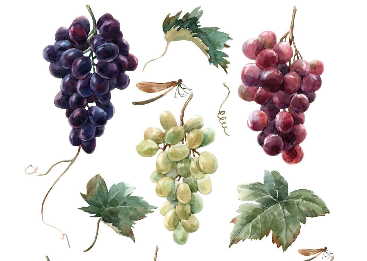 Decoupage Paper for Furniture - Rice Paper Decoupage - Large Decoupage Paper - Purple Green Red Grapes Decoupage