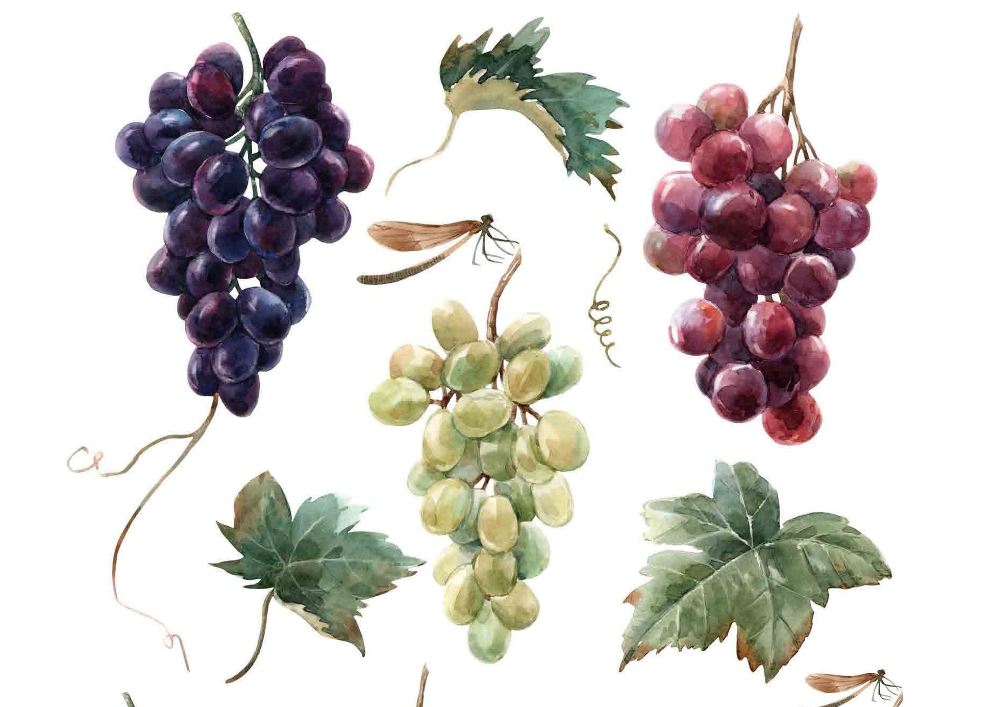 Decoupage Paper for Furniture - Rice Paper Decoupage - Large Decoupage Paper - Purple Green Red Grapes Decoupage