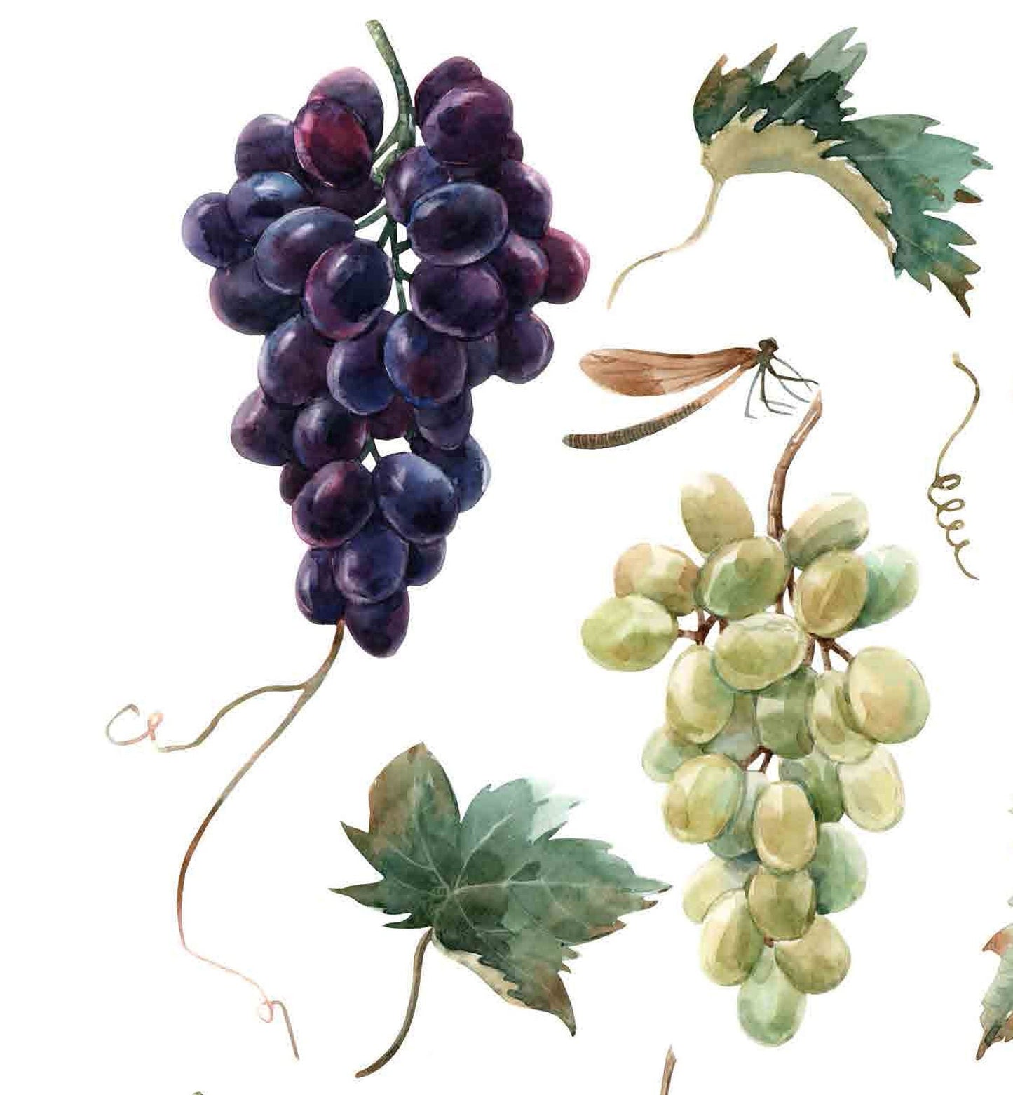 Decoupage Paper for Furniture - Rice Paper Decoupage - Large Decoupage Paper - Purple Green Red Grapes Decoupage