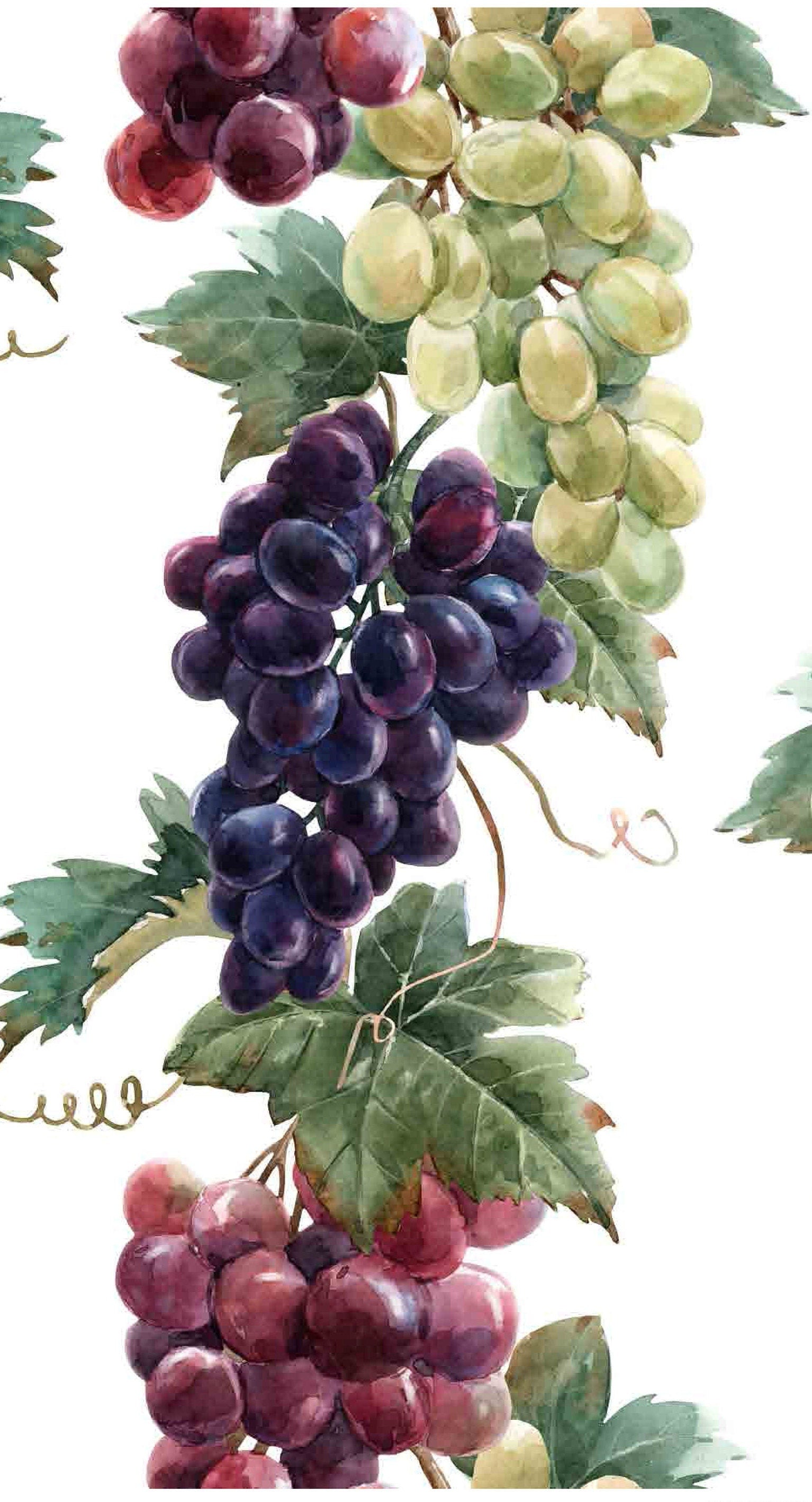 Decoupage Paper for Furniture - Rice Paper Decoupage - Large Decoupage Paper - Purple Green Red Fruits Decoupage