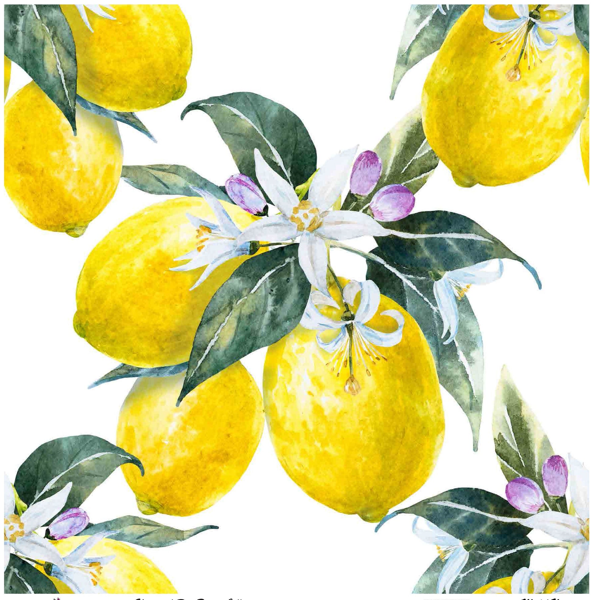 Decoupage Paper for Furniture - Rice Paper Decoupage - Large Decoupage Paper Vintage - Lemon Decoupage