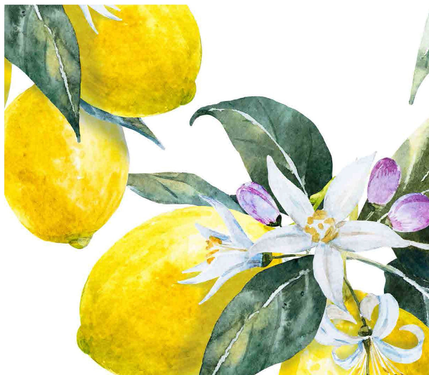 Decoupage Paper for Furniture - Rice Paper Decoupage - Large Decoupage Paper Vintage - Lemon Decoupage
