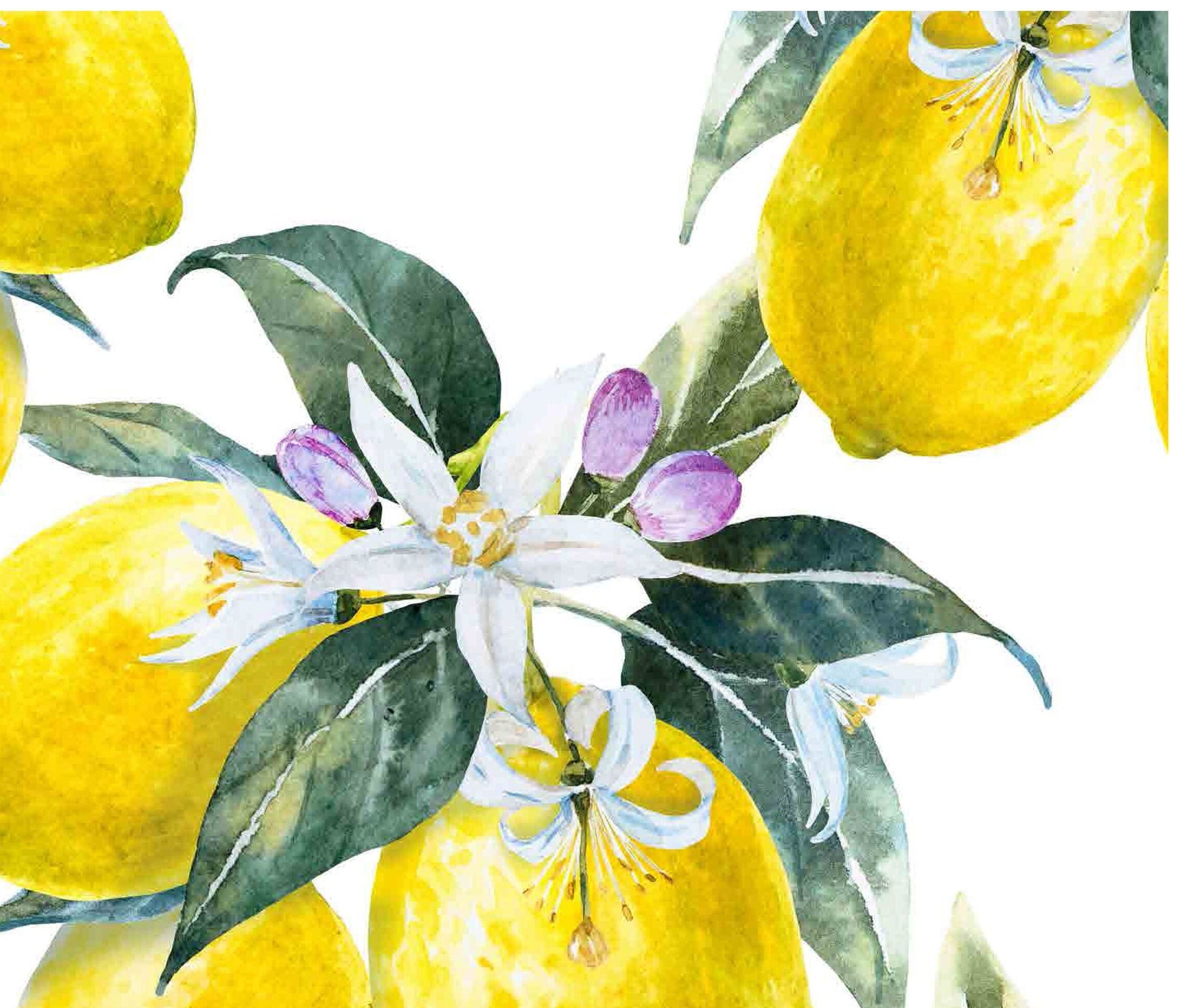Decoupage Paper for Furniture - Rice Paper Decoupage - Large Decoupage Paper Vintage - Lemon Decoupage