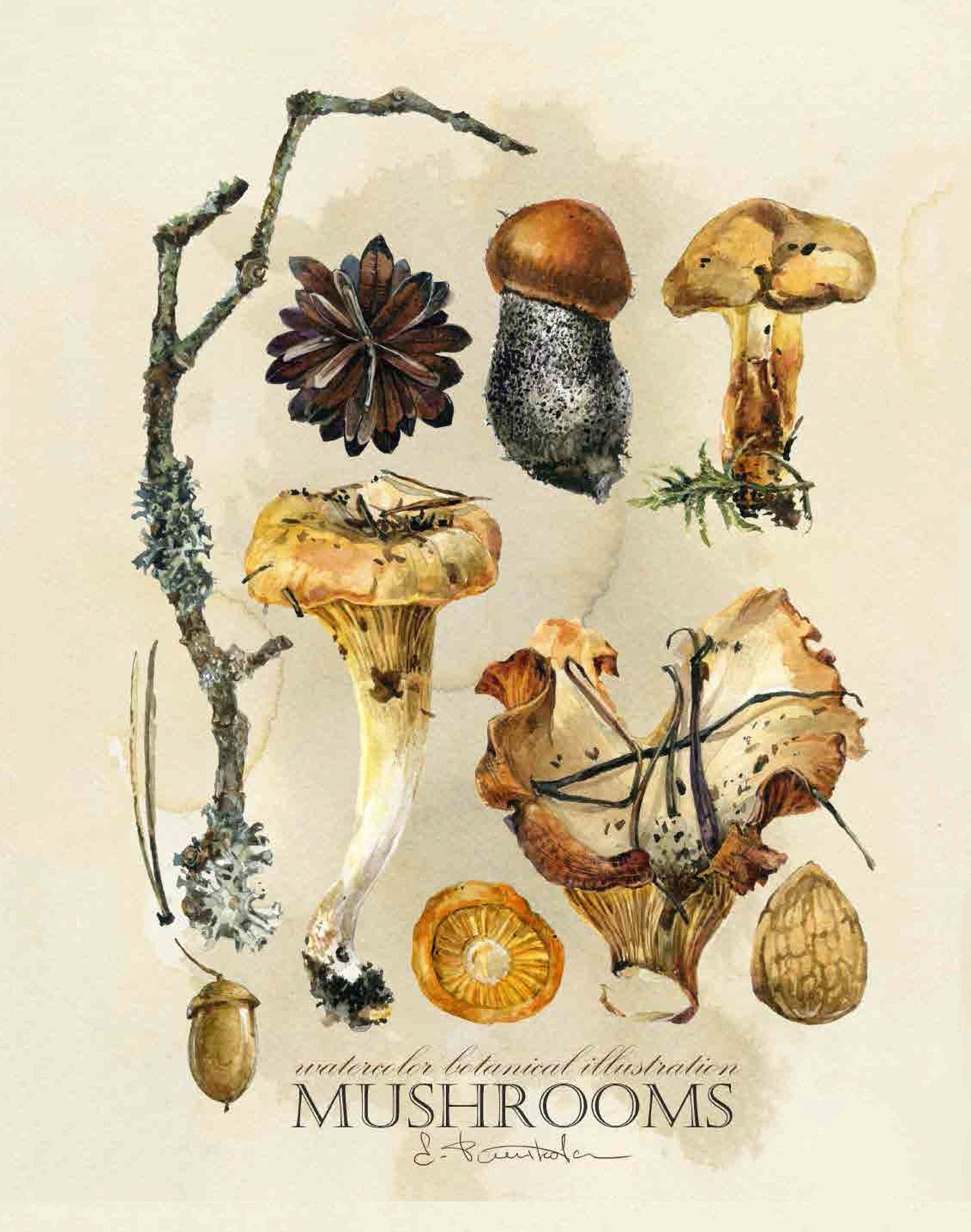 Decoupage Paper for Furniture - Rice Paper Decoupage - Large Decoupage Paper Vintage - Mushroom Decoupage