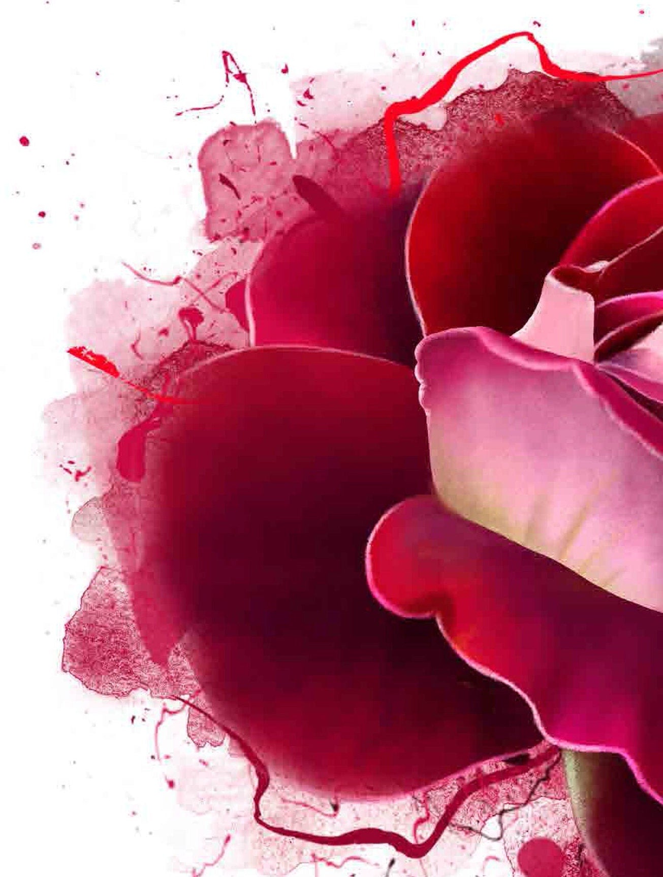 Red Rose - Watercolor Floral Rice Paper - Vintage Decoupage Paper for Furniture - Large Flowers Decoupage Paper