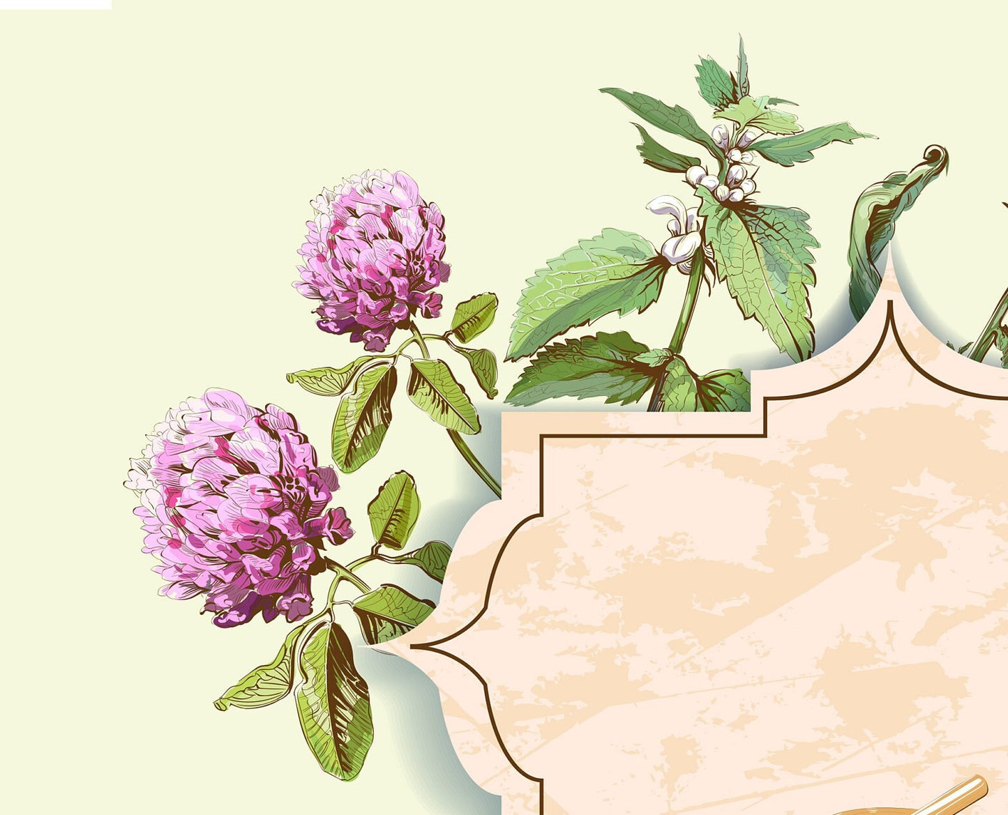 Decoupage Paper for Furniture - Rice Paper Decoupage - Large Decoupage Paper - Daisy Herbal Kitchen Decoupage