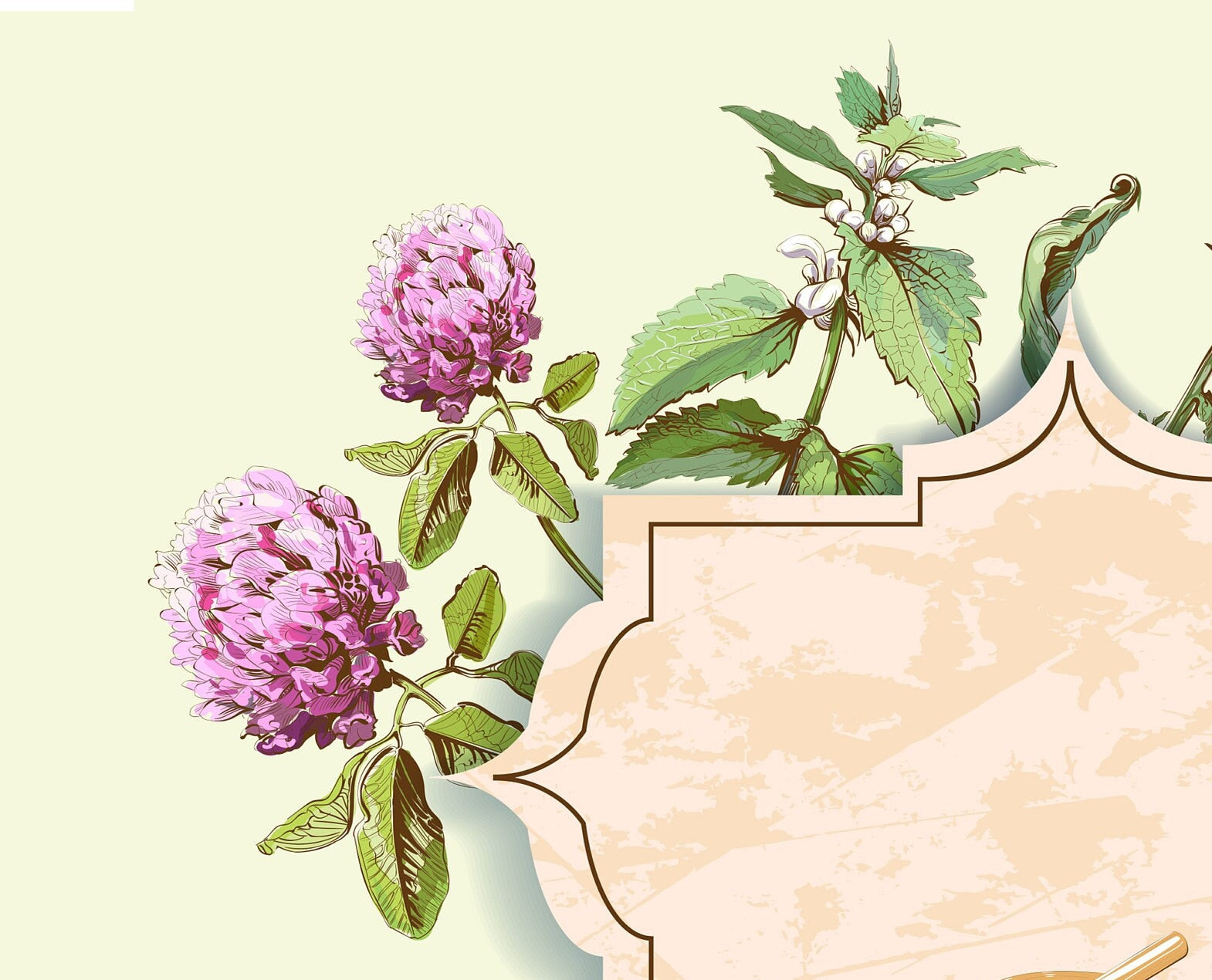 Decoupage Paper for Furniture - Rice Paper Decoupage - Large Decoupage Paper - Daisy Herbal Kitchen Decoupage