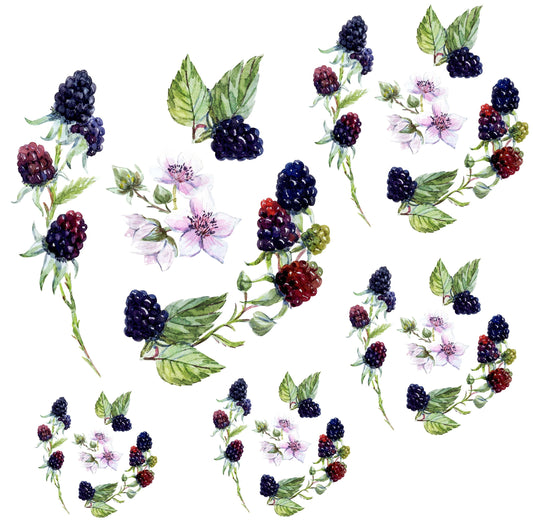 Decoupage Paper for Furniture - Rice Paper Decoupage - Large Decoupage Paper - Blackberry Decoupage - Red Green
