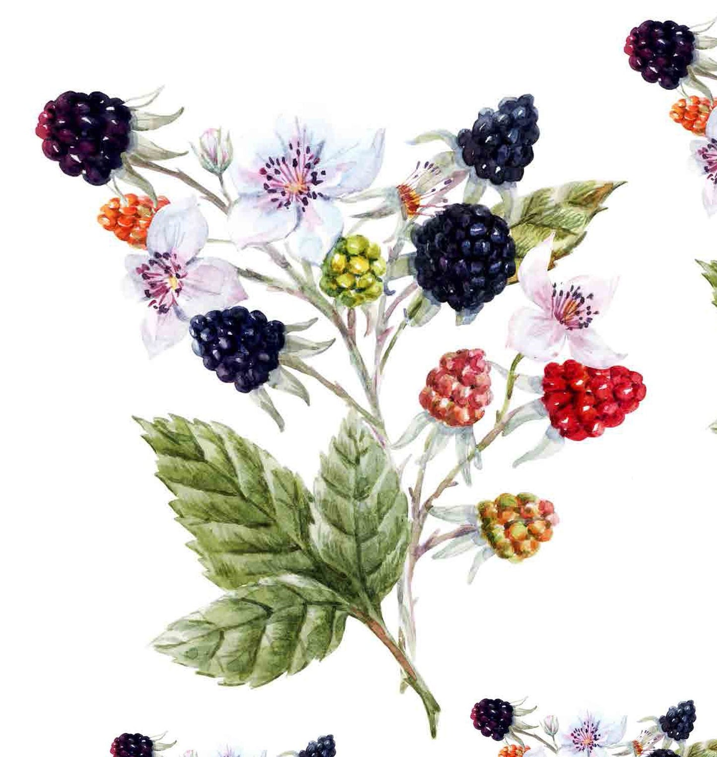 Decoupage Paper for Furniture - Rice Paper Decoupage - Large Decoupage Paper - Blackberry Decoupage - Red Green