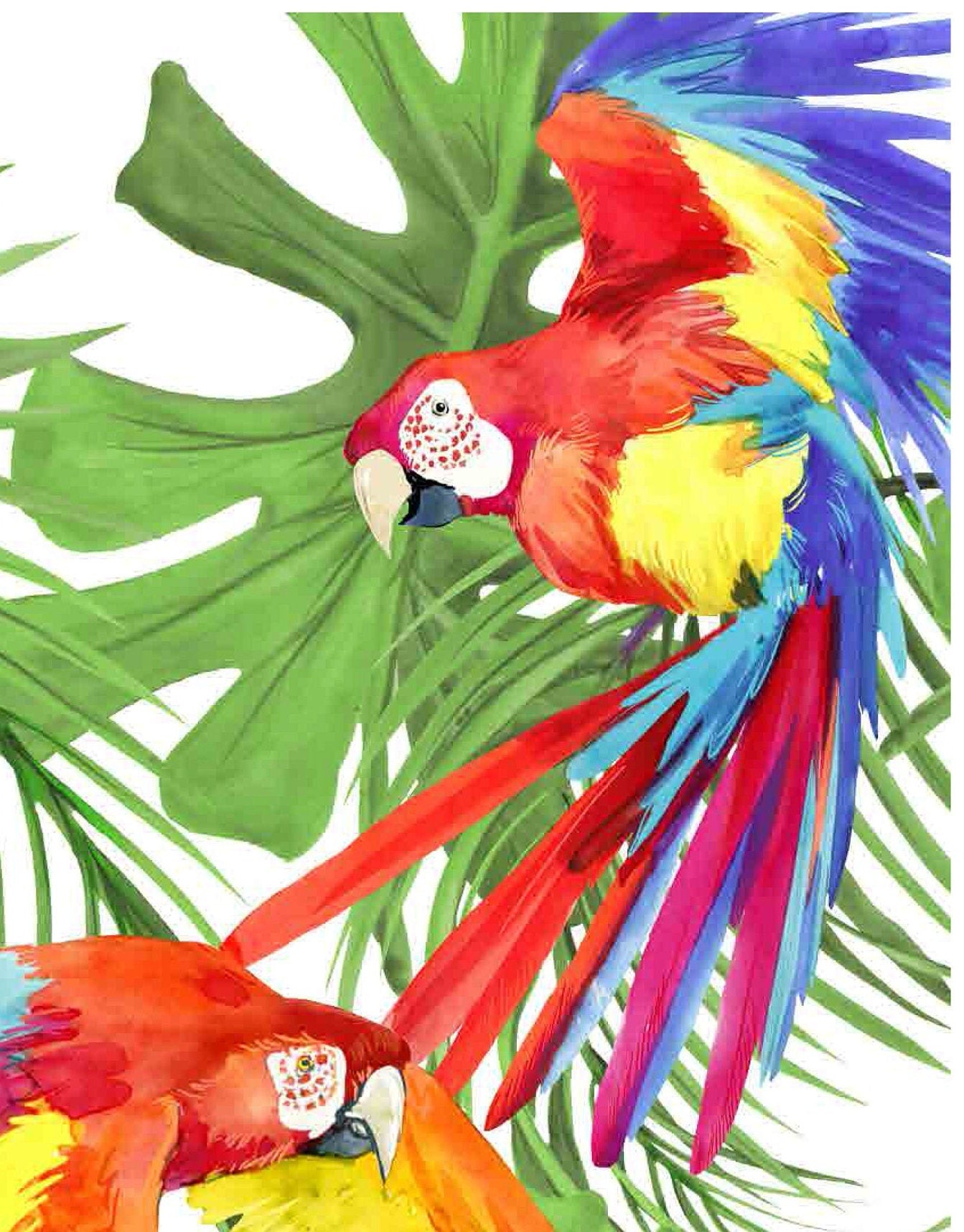 Parrots - Decoupage Paper for Furniture - Rice Paper Decoupage - Large Decoupage Paper - Tropical Birds Decoupage