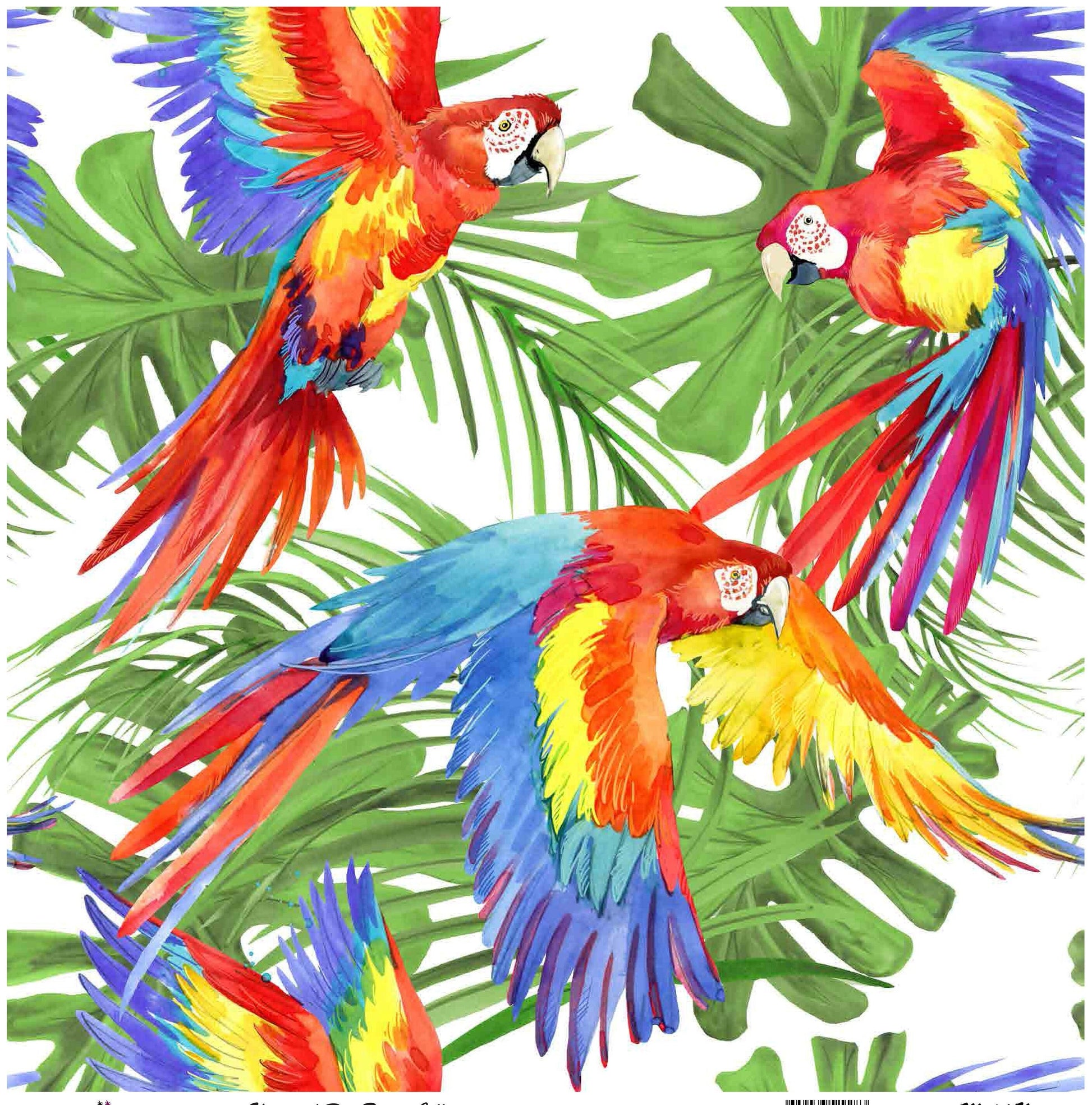 Parrots - Decoupage Paper for Furniture - Rice Paper Decoupage - Large Decoupage Paper - Tropical Birds Decoupage