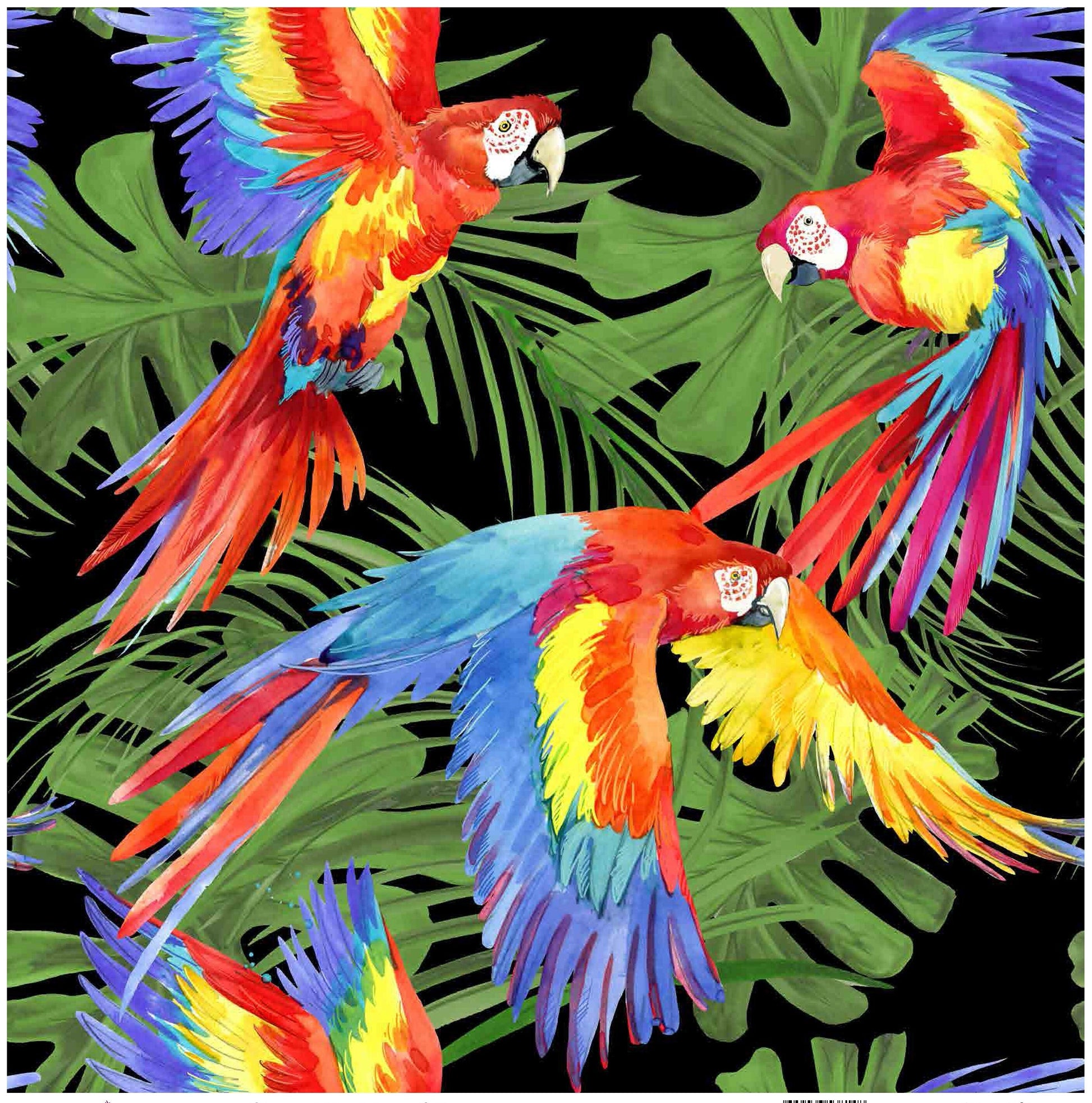 Parrots - Decoupage Paper for Furniture - Rice Paper Decoupage - Large Decoupage Paper - Tropical Birds Decoupage