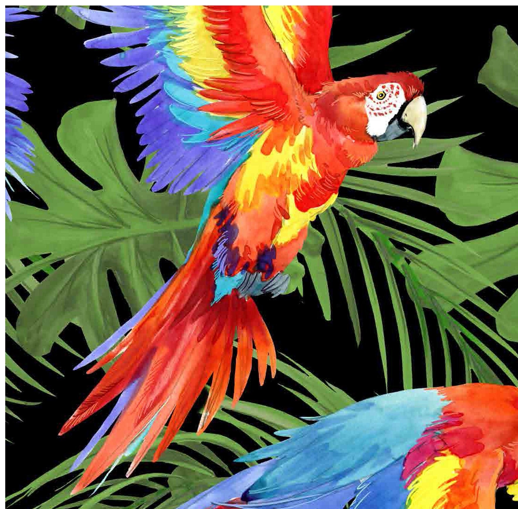 Parrots - Decoupage Paper for Furniture - Rice Paper Decoupage - Large Decoupage Paper - Tropical Birds Decoupage