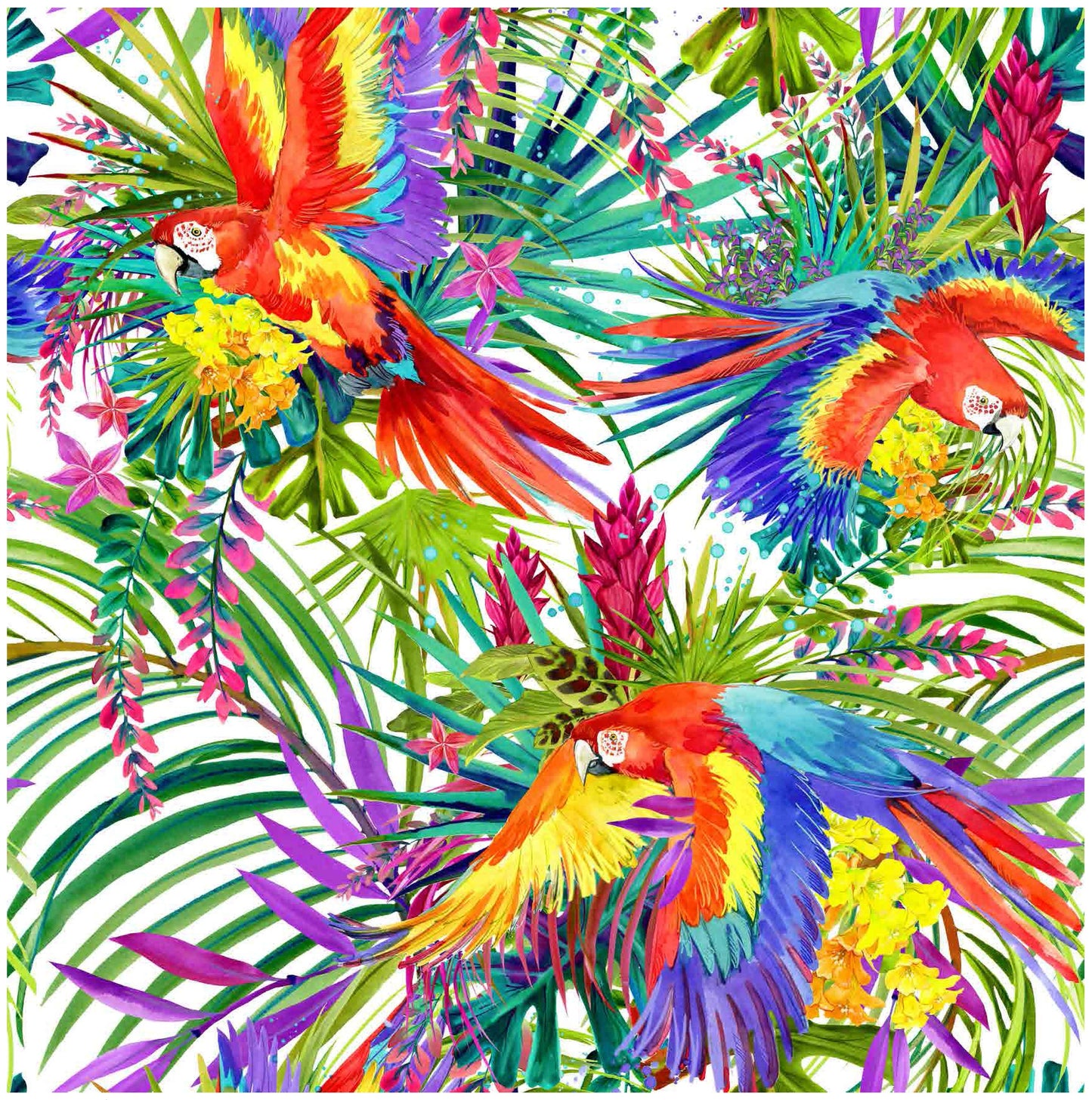 colorful parrot decoupage paper