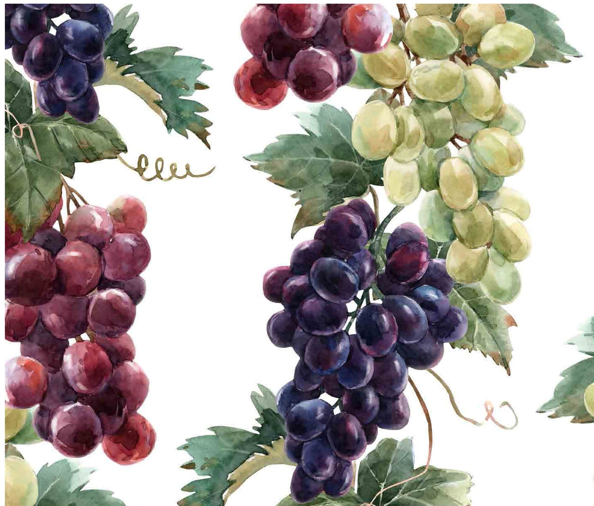 Decoupage Paper for Furniture - Rice Paper Decoupage - Large Decoupage Paper - Purple Green Red Fruits Decoupage