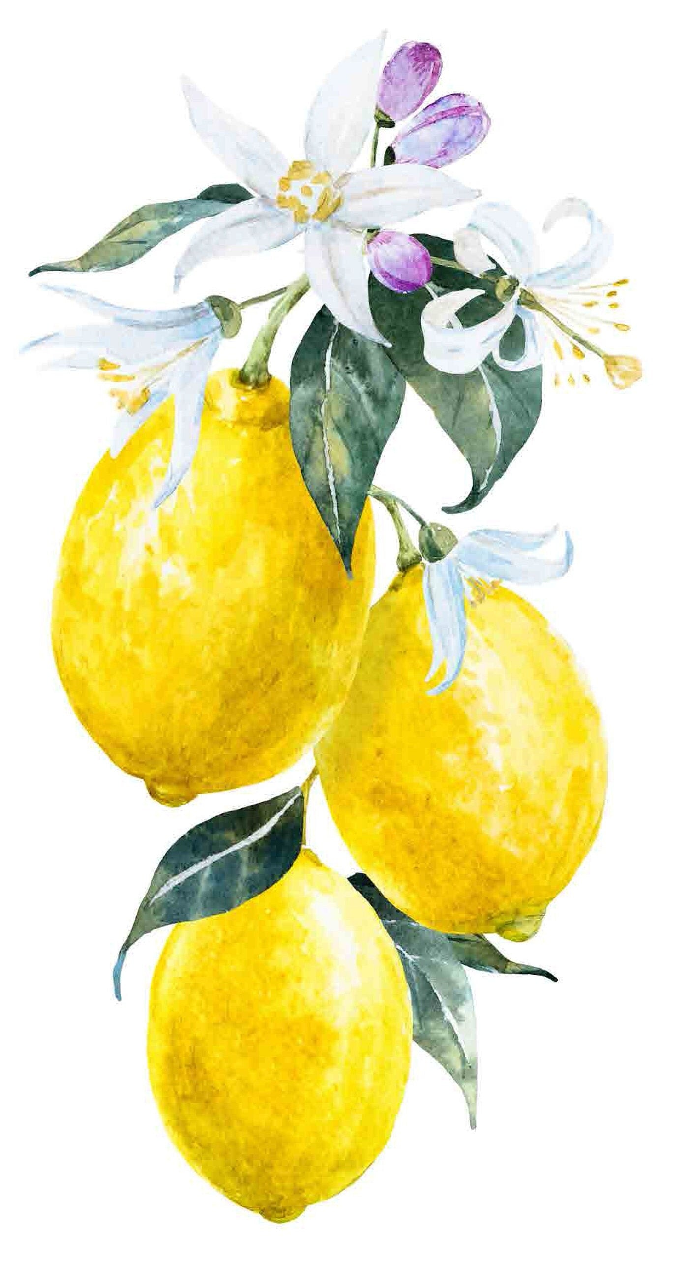 Decoupage Paper for Furniture - Rice Paper Decoupage - Large Decoupage Paper Vintage - Lemon Decoupage
