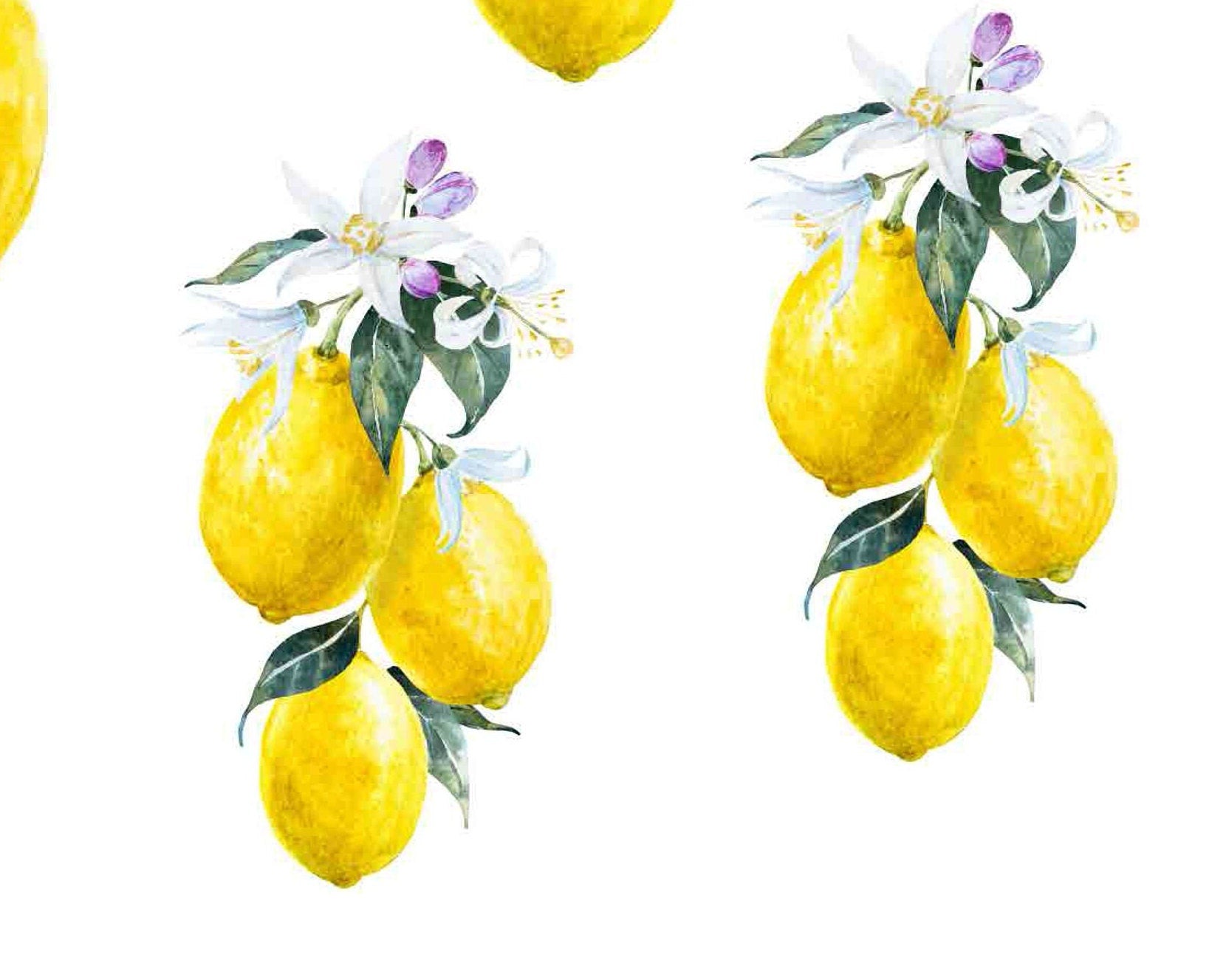 Decoupage Paper for Furniture - Rice Paper Decoupage - Large Decoupage Paper Vintage - Lemon Decoupage