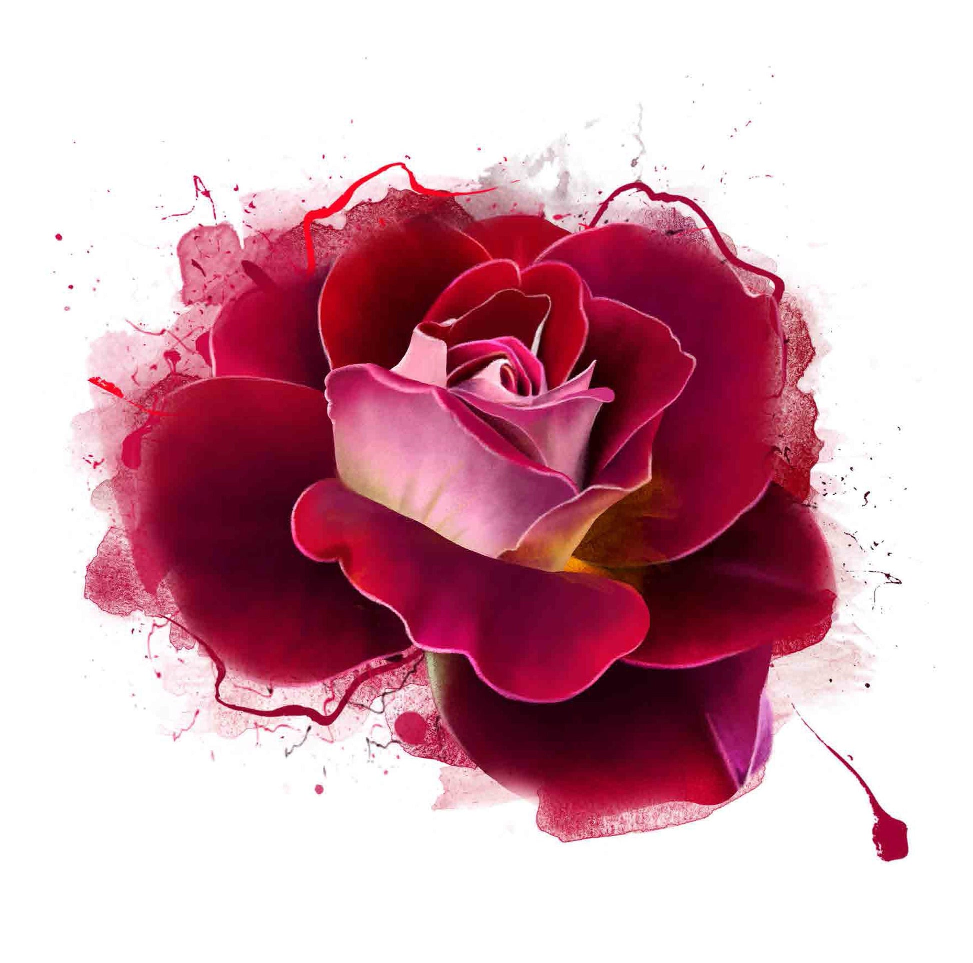 Red Rose - Watercolor Floral Rice Paper - Vintage Decoupage Paper for Furniture - Large Flowers Decoupage Paper