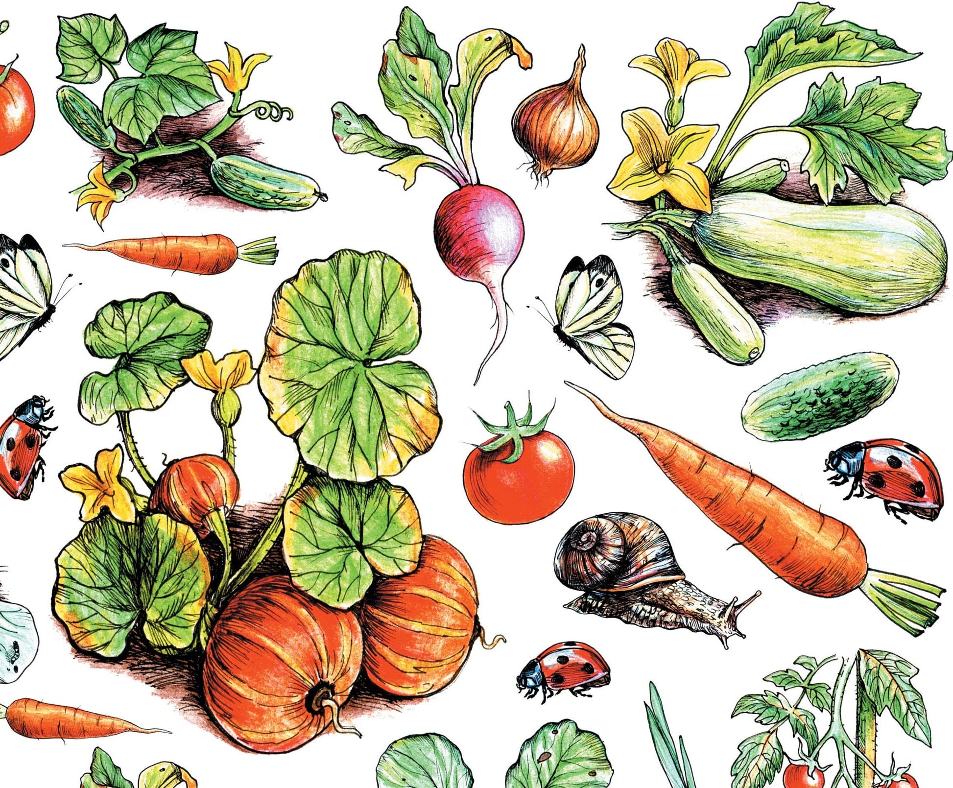 Vegetables - Carrot - Pumpkin - Vintage Decoupage Art - Rice Paper - Decoupage for Furniture - Large Size Rice Paper for Decoupage - Sheets