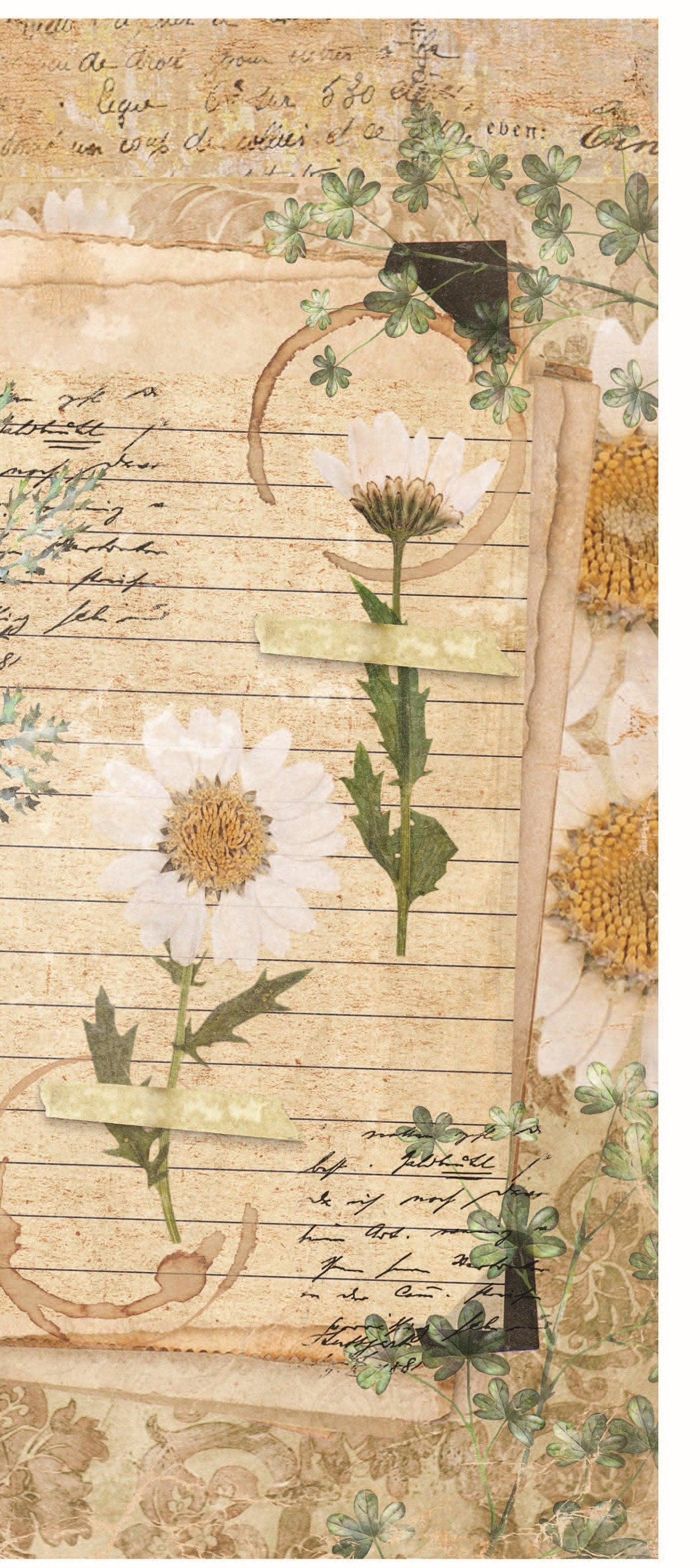 White Daisy Vintage Floral Decoupage - Decoupage Art - Large Size Rice Paper for Decoupage - Decoupage Crafts