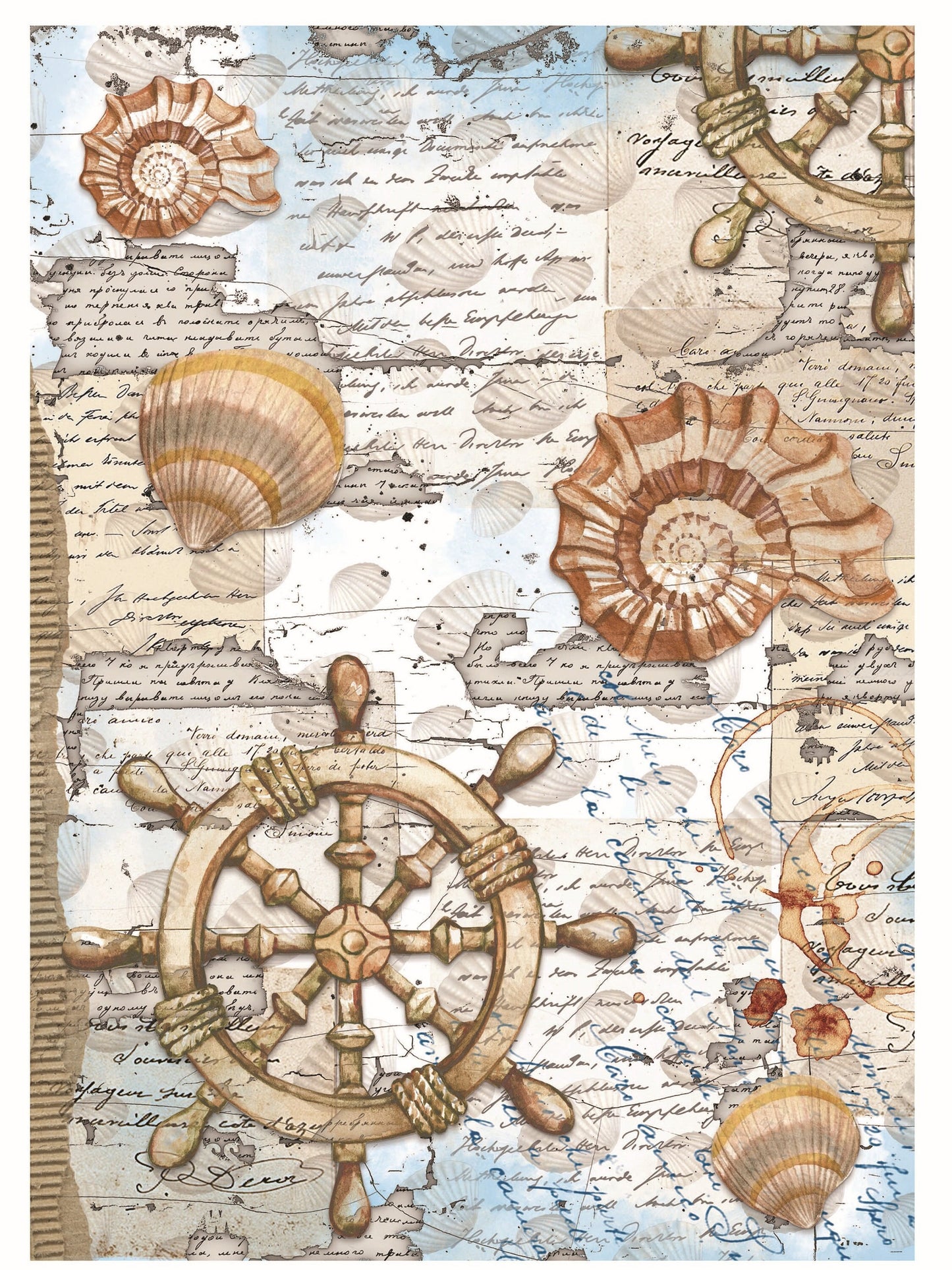 Sea Shell - Decorative Paper - Decoupage Art - Large Size Rice Paper for Decoupage - Decoupage Crafts