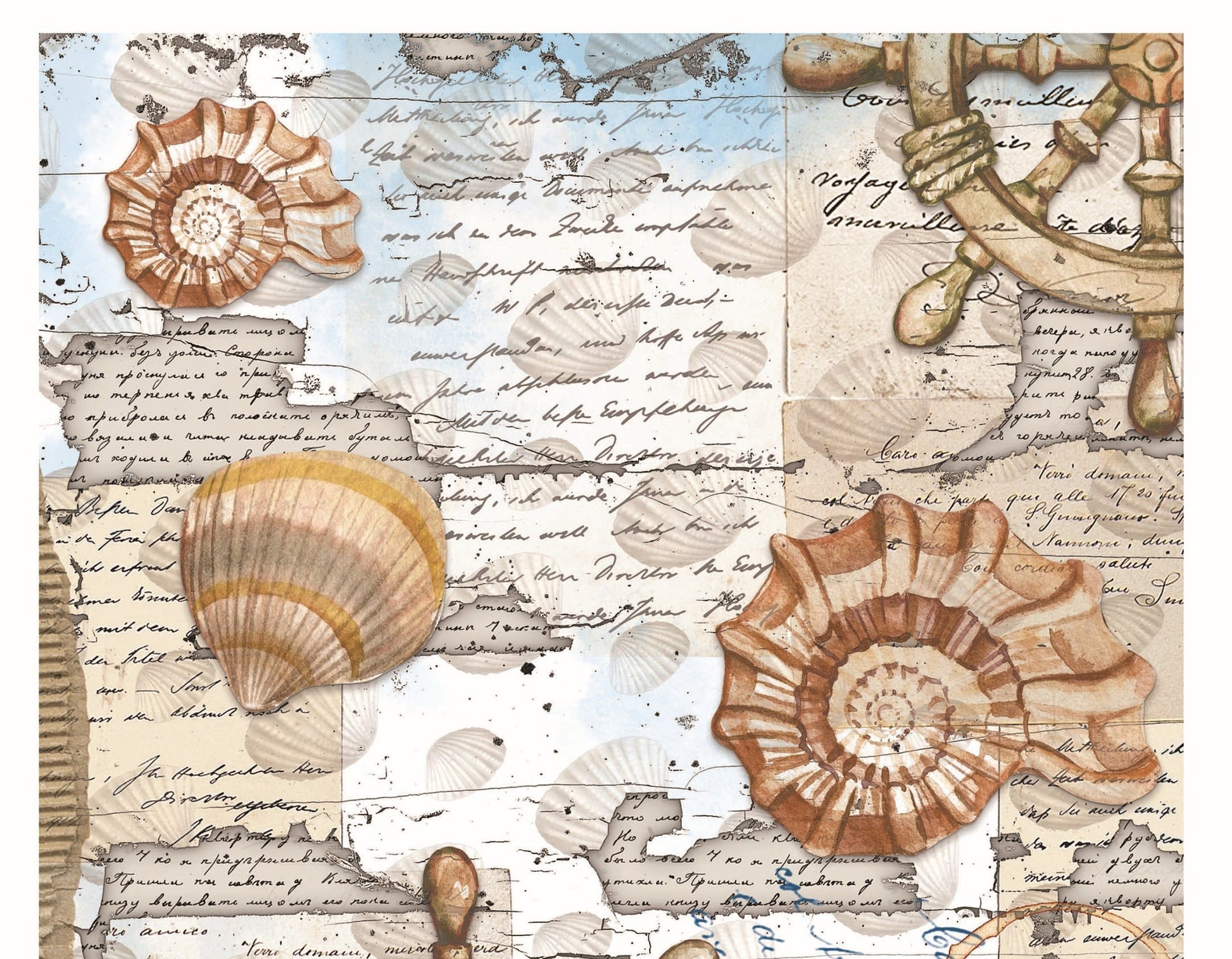 Sea Shell - Decorative Paper - Decoupage Art - Large Size Rice Paper for Decoupage - Decoupage Crafts
