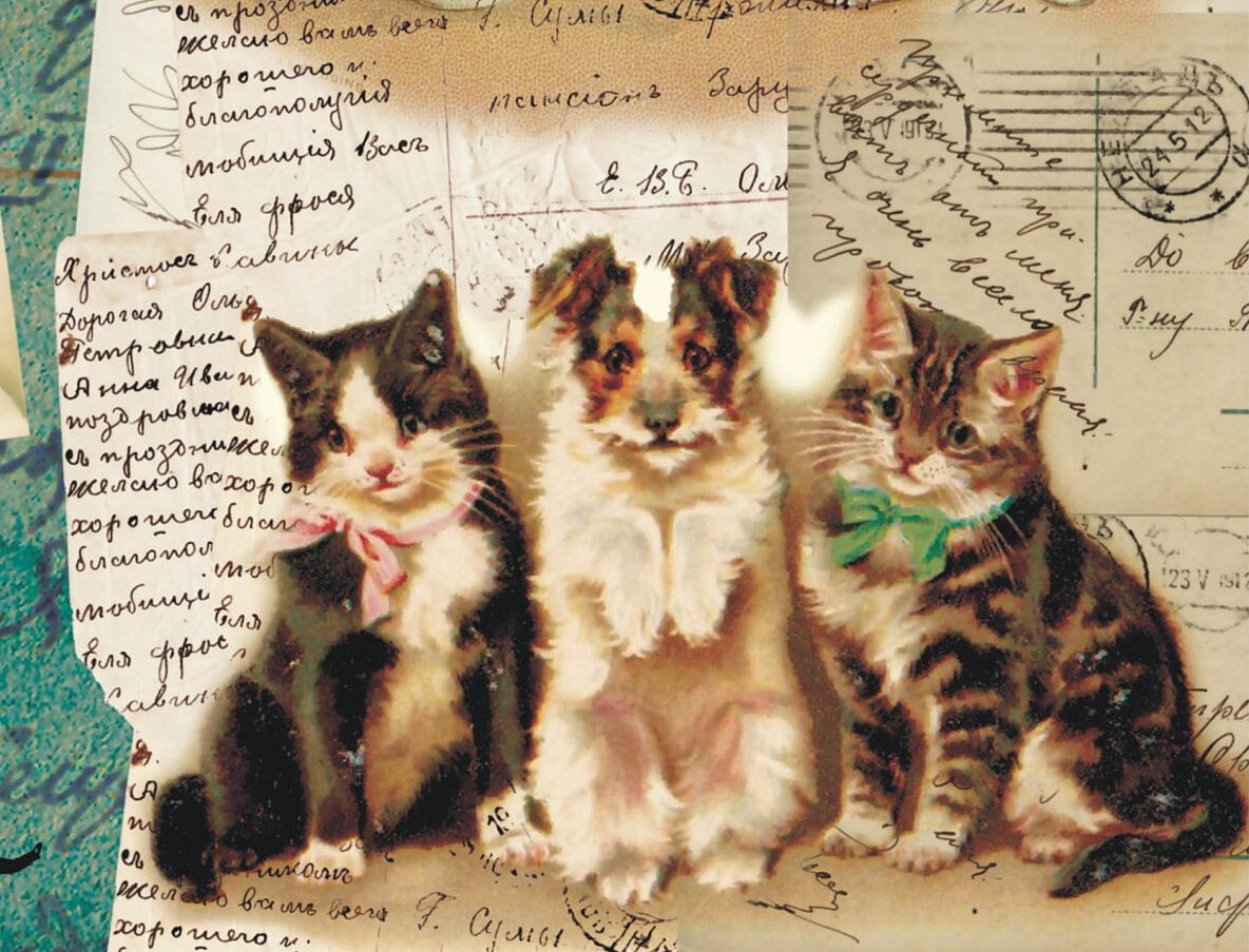 Kitten - Vintage Decoupage Art - Rice Paper - Decoupage for Furniture - Large Size Rice Paper for Decoupage