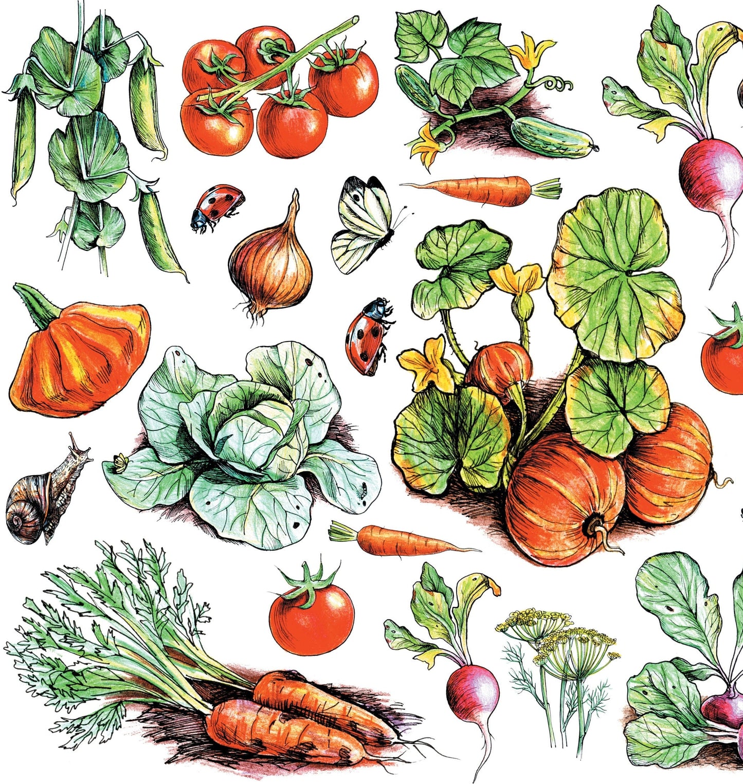 Vegetables - Carrot - Pumpkin - Vintage Decoupage Art - Rice Paper - Decoupage for Furniture - Large Size Rice Paper for Decoupage - Sheets