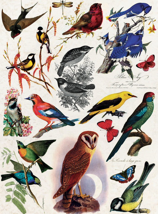 Birds Vintage Decoupage Paper - Decoupage Art - Large Size Rice Paper for Decoupage - A3 A2 A1