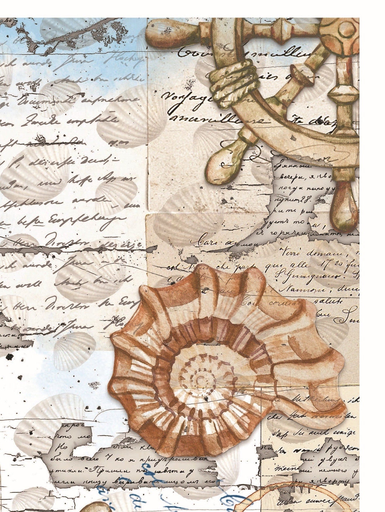 Sea Shell - Decorative Paper - Decoupage Art - Large Size Rice Paper for Decoupage - Decoupage Crafts