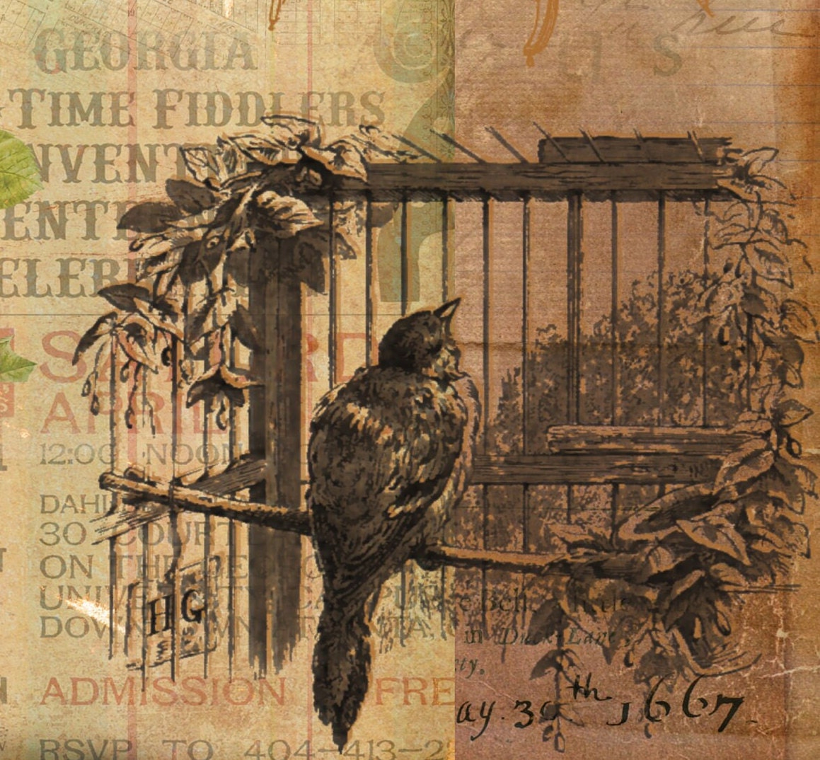 Rose & Birds Decoupage Paper - Decoupage Art - Large Size Rice Paper for Decoupage - A3 A2 A1 A0