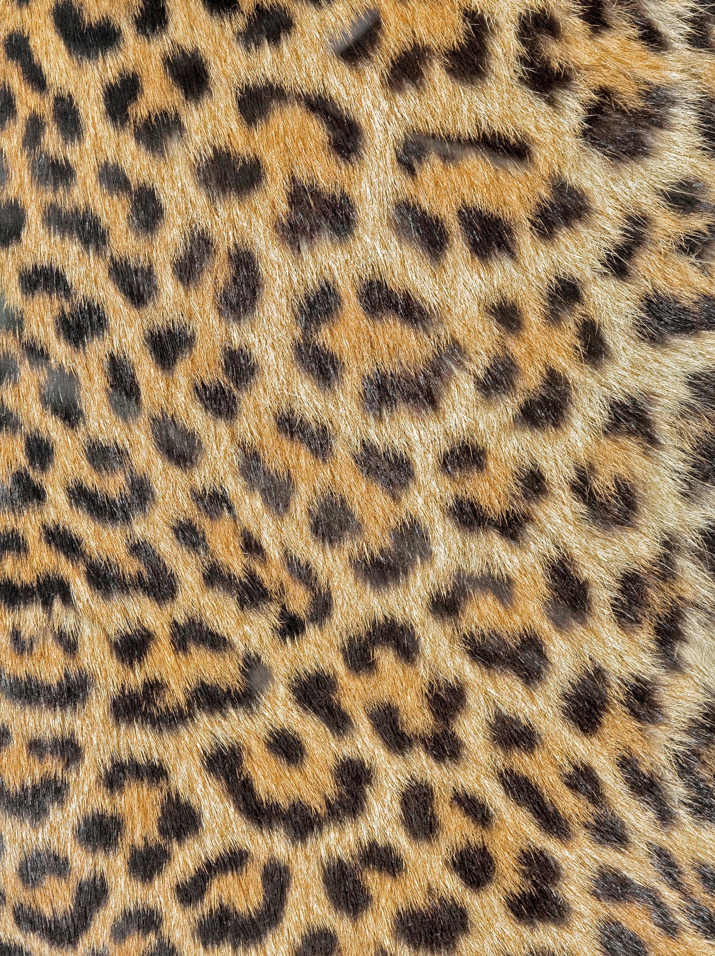 Leopard Decoupage Paper - Decoupage Art - Large Size Rice Paper for Decoupage - A3 A2 A1 A0