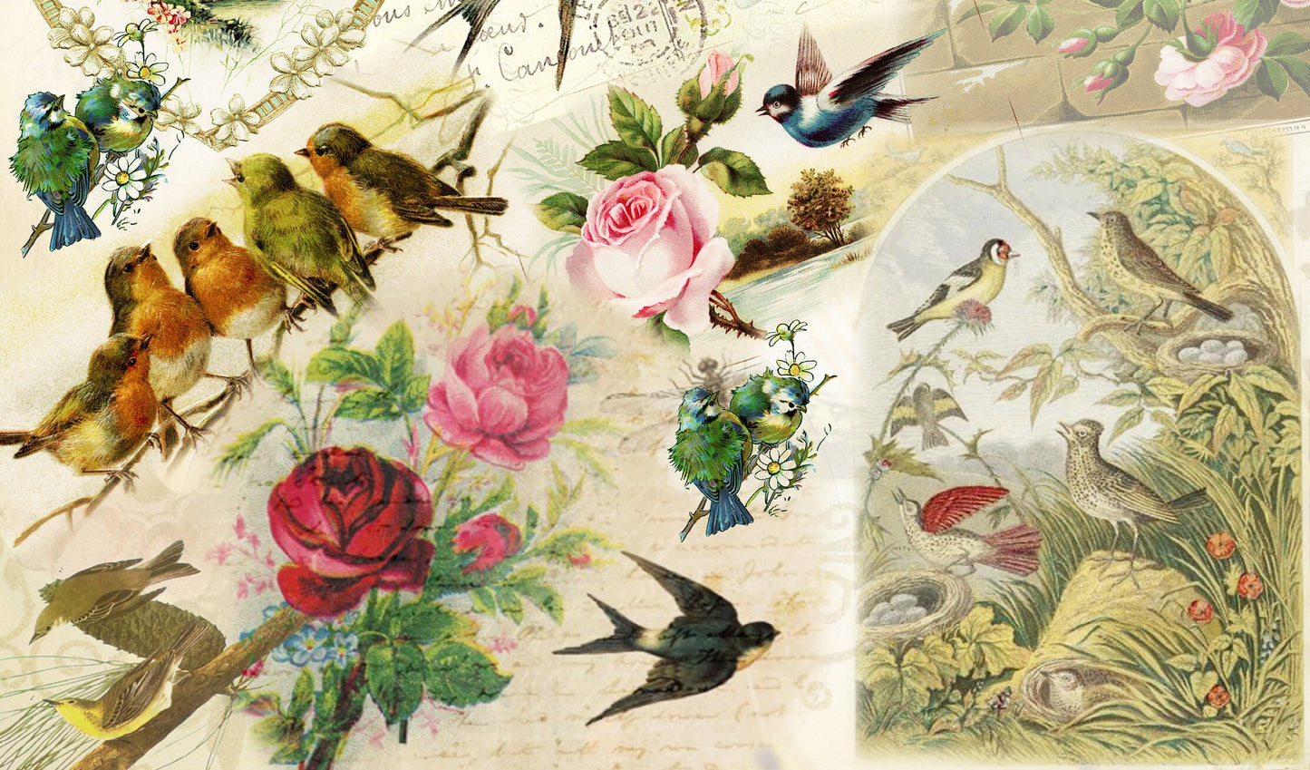 Butterfly Rice Paper for Decoupage - Furniture Vintage Decorative Paper A3 A2 A1 A0