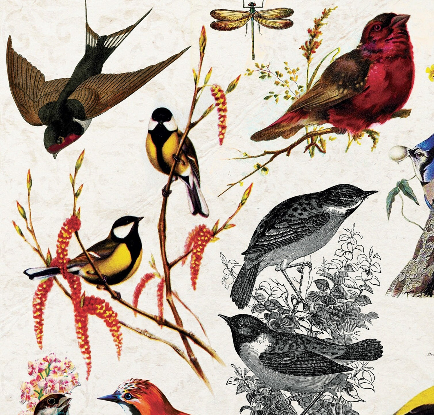 Birds Vintage Decoupage Paper - Decoupage Art - Large Size Rice Paper for Decoupage - A3 A2 A1
