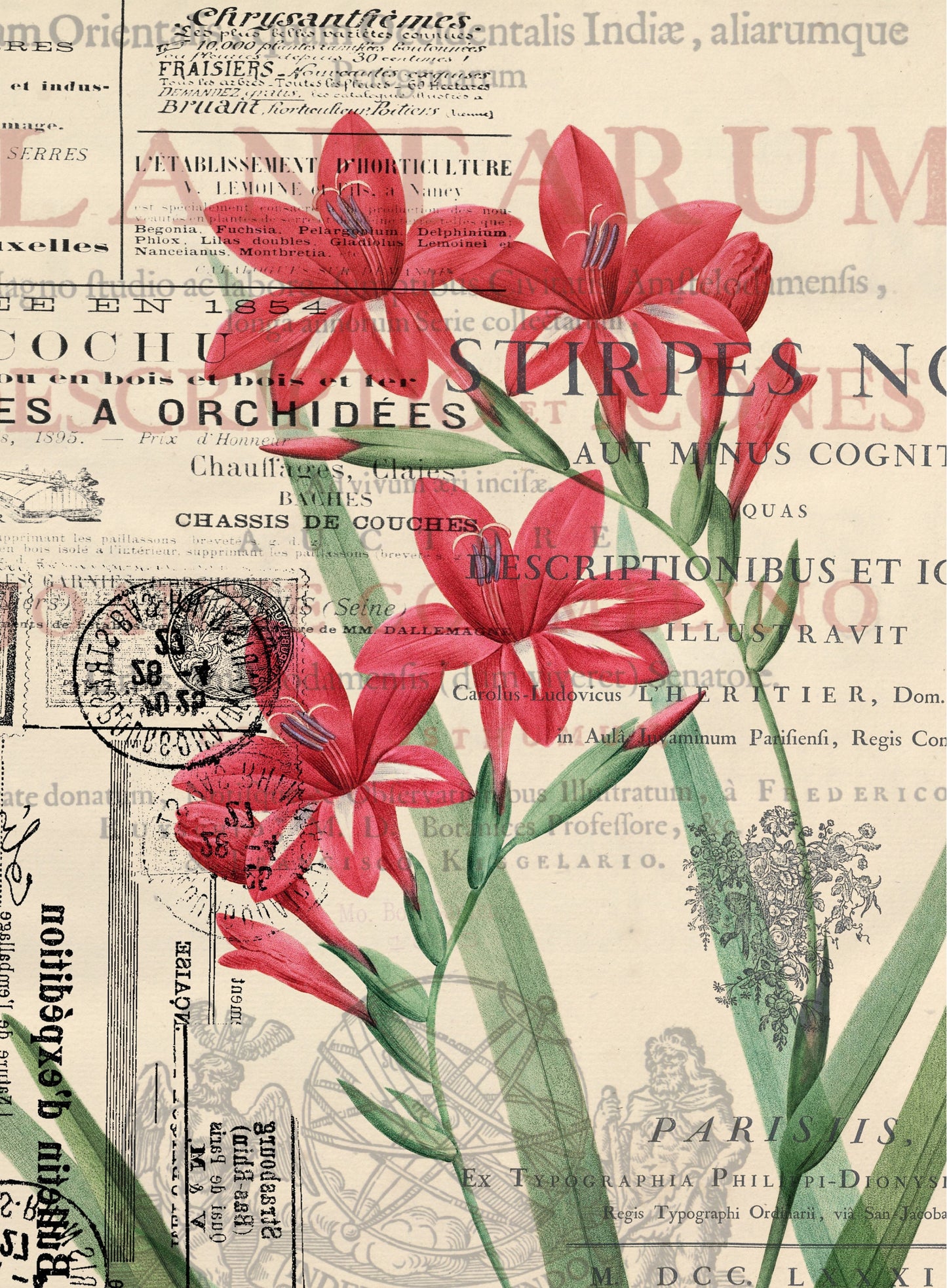 Red Flowers Newspaper Vintage Decoupage Paper - Decoupage Art - Large Size Rice Paper for Decoupage - A3 A2 A1 A0