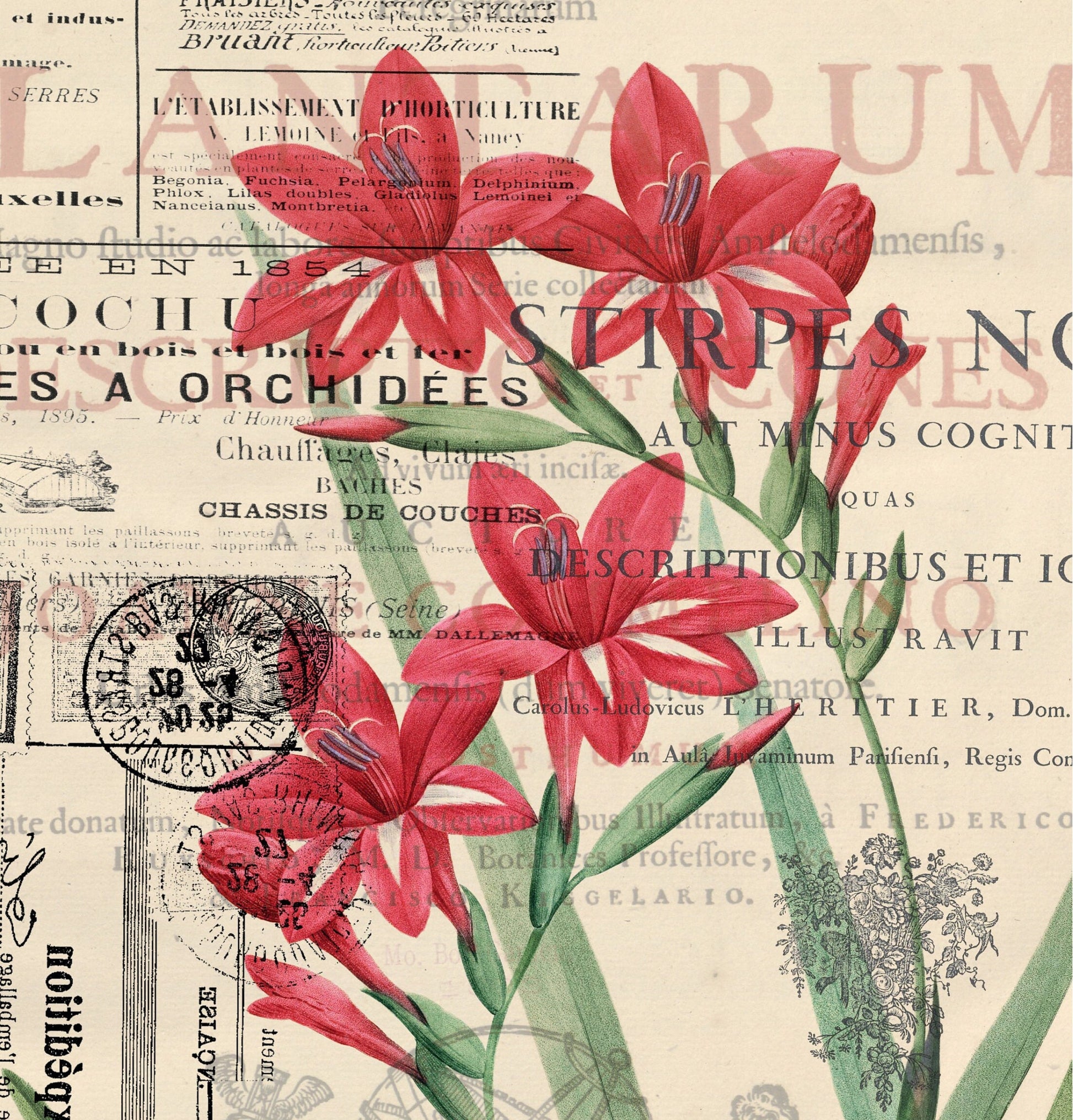Red Flowers Newspaper Vintage Decoupage Paper - Decoupage Art - Large Size Rice Paper for Decoupage - A3 A2 A1 A0