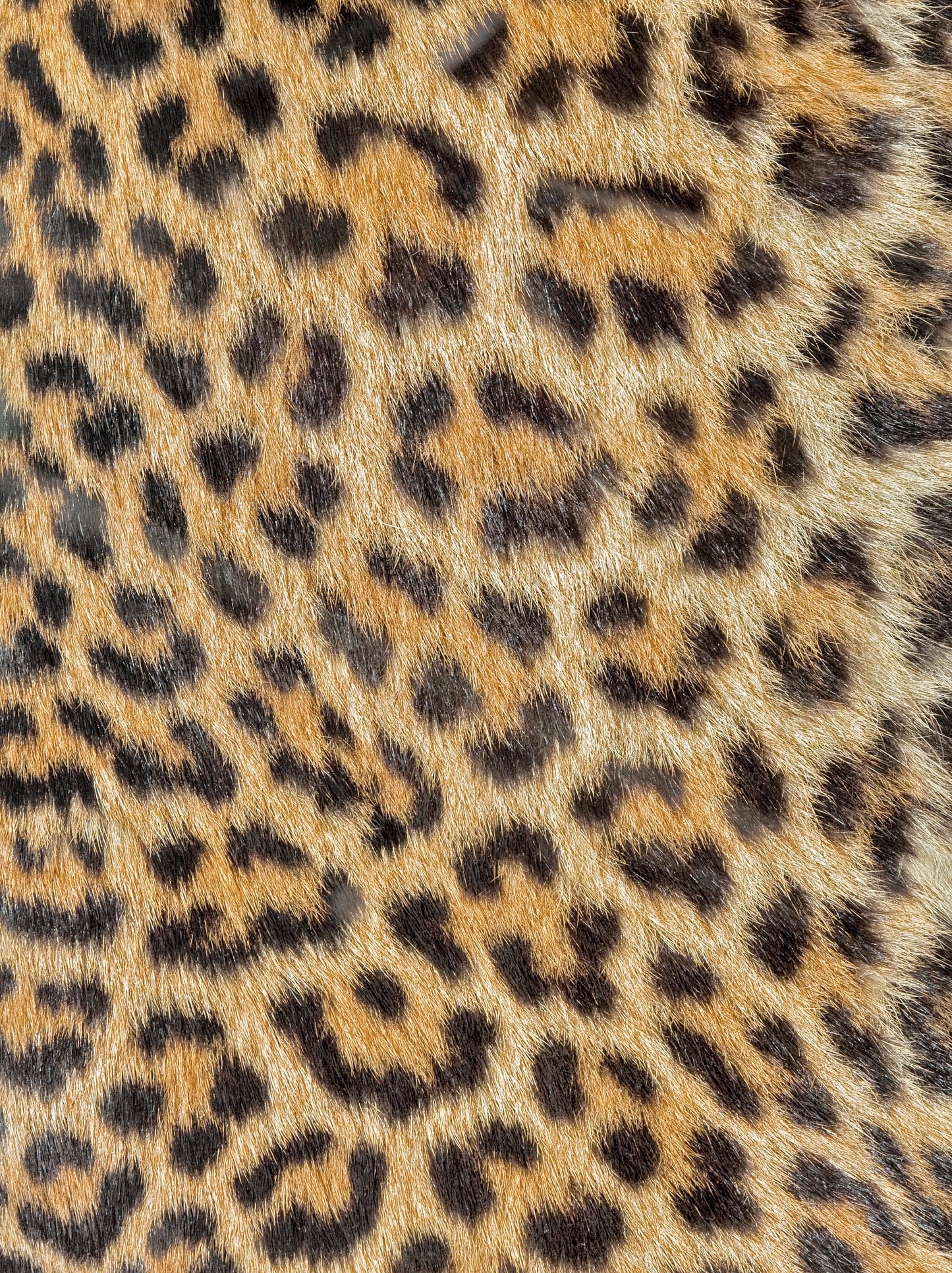 Leopard Decoupage Paper - Decoupage Art - Large Size Rice Paper for Decoupage - A3 A2 A1 A0