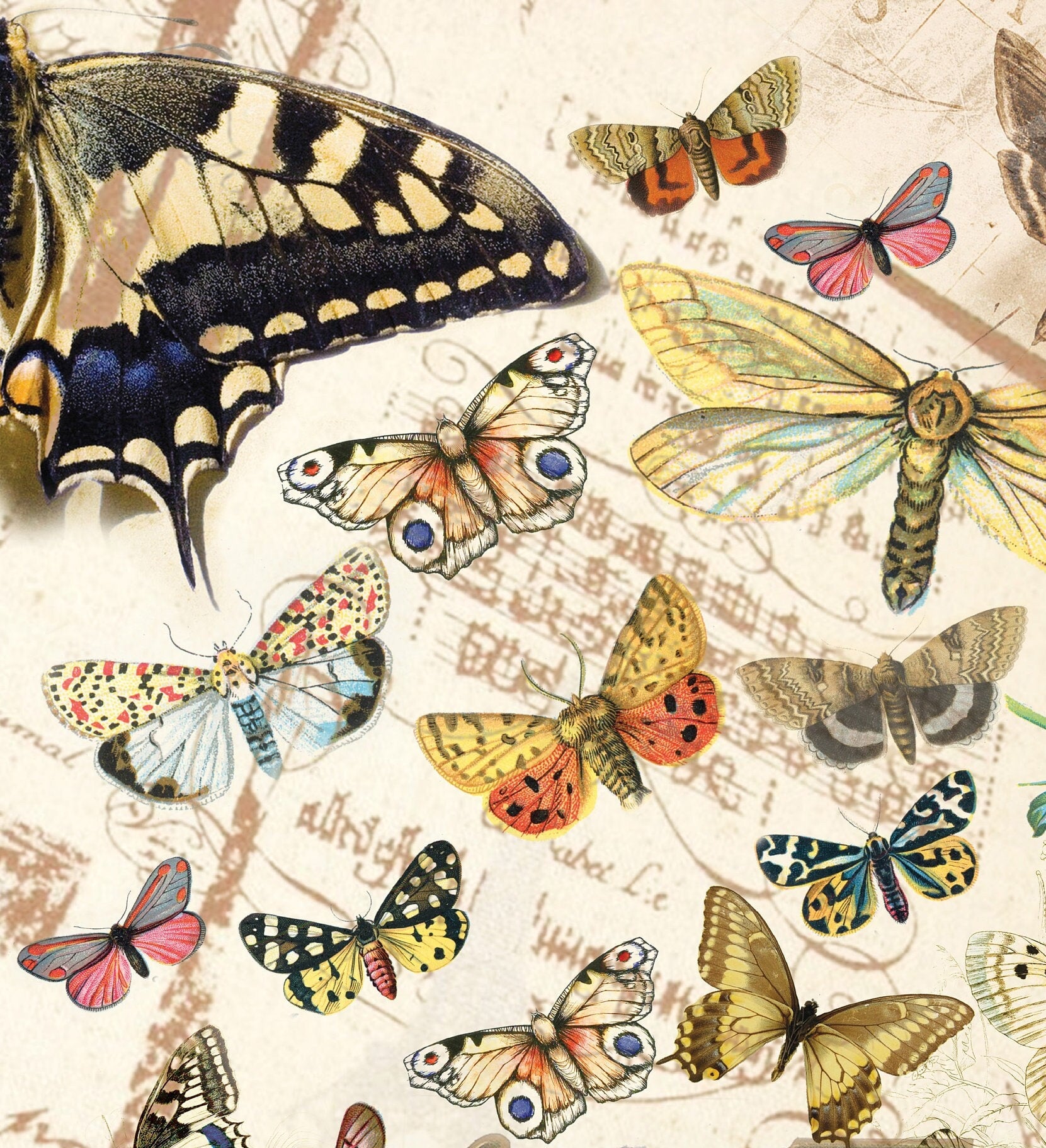 Butterflys Decoupage Paper - Decoupage Art - Large Size Rice Paper for Decoupage - A3 A2 A1 A0