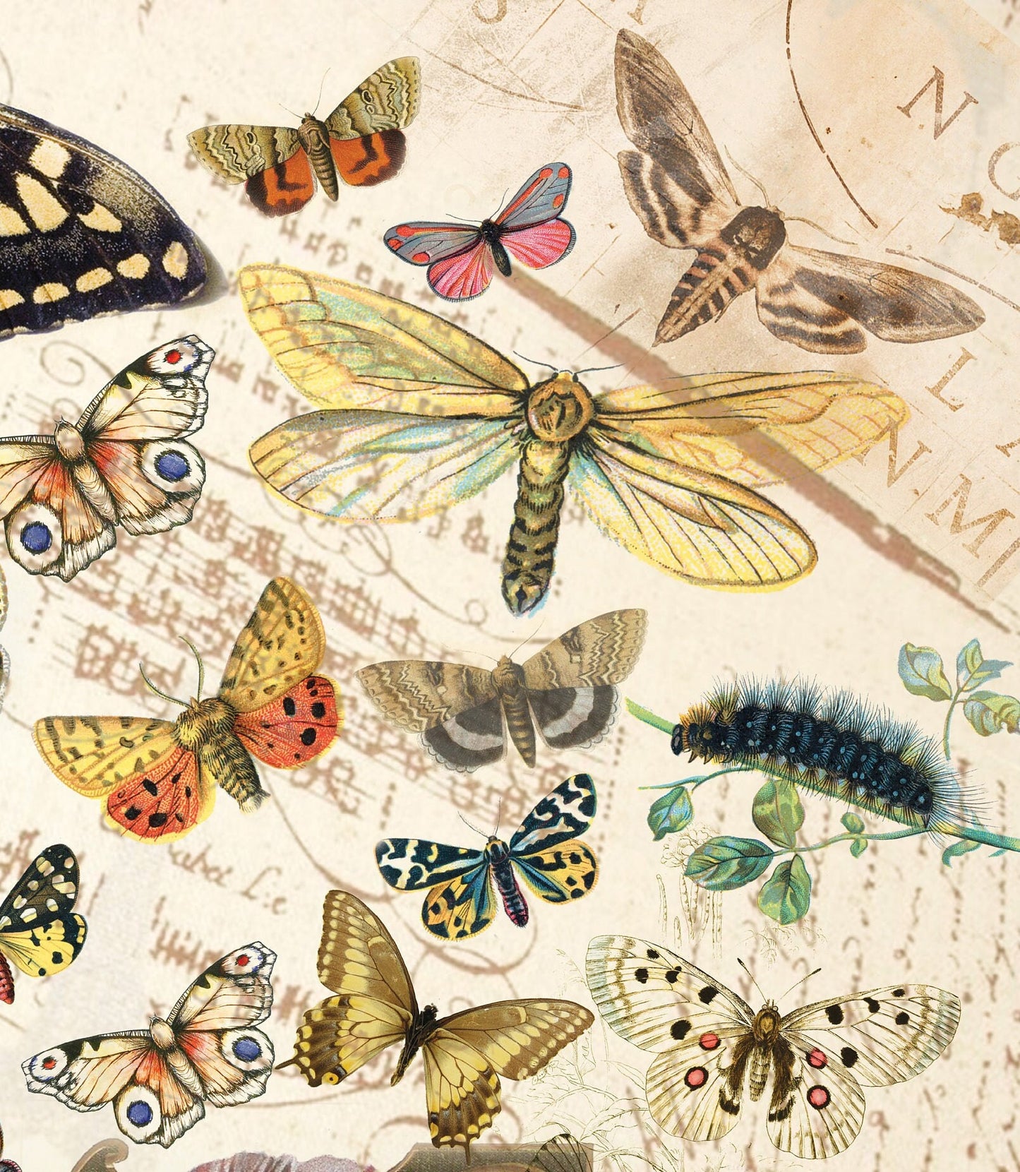 Butterflys Decoupage Paper - Decoupage Art - Large Size Rice Paper for Decoupage - A3 A2 A1 A0