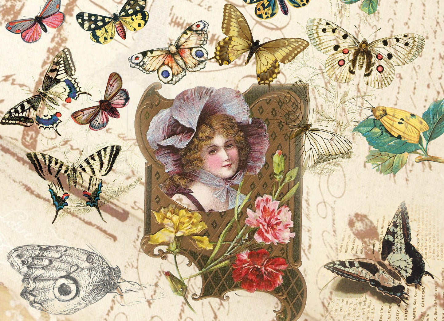 Butterflys Decoupage Paper - Decoupage Art - Large Size Rice Paper for Decoupage - A3 A2 A1 A0