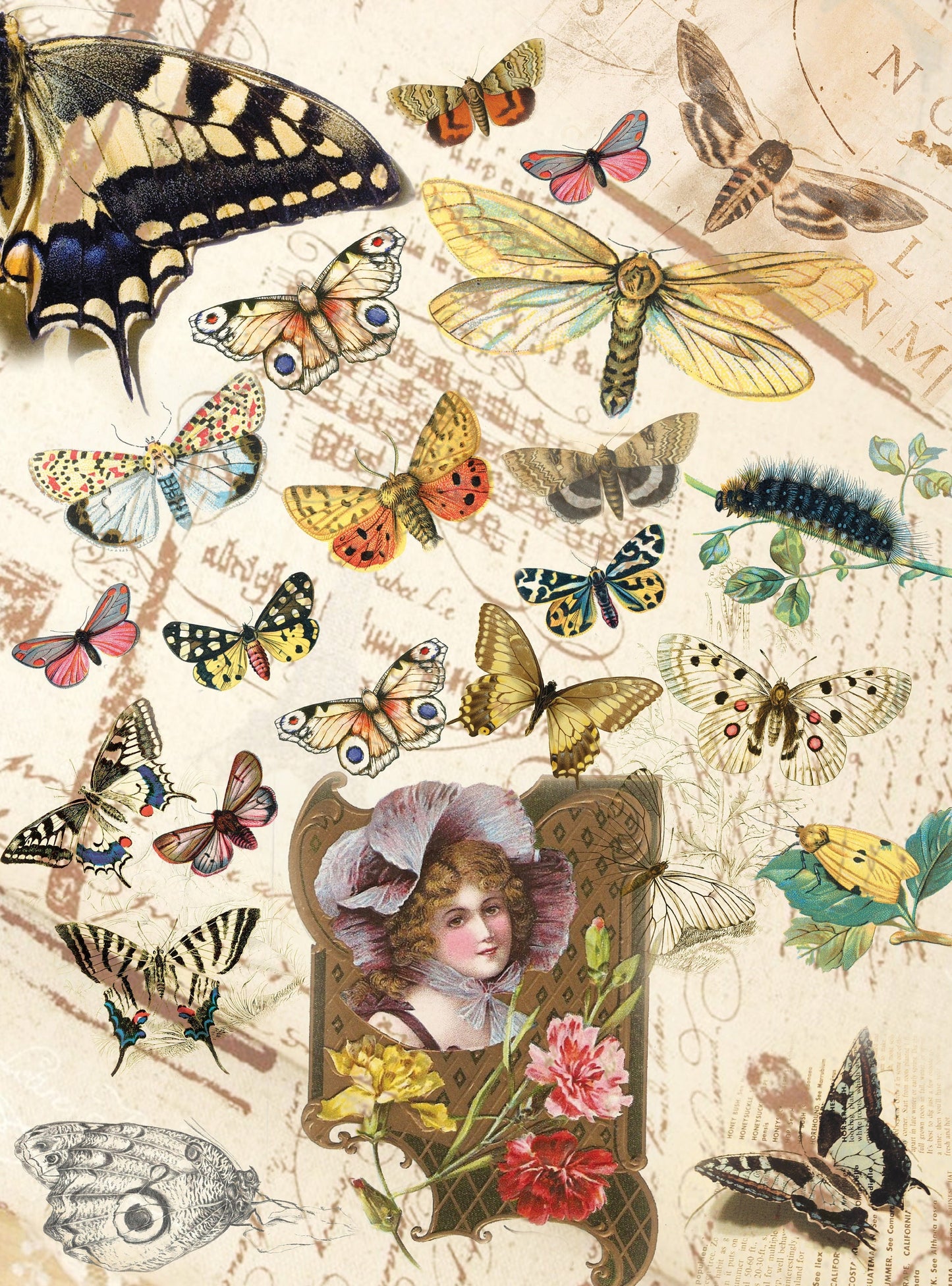 Butterflys Decoupage Paper - Decoupage Art - Large Size Rice Paper for Decoupage - A3 A2 A1 A0