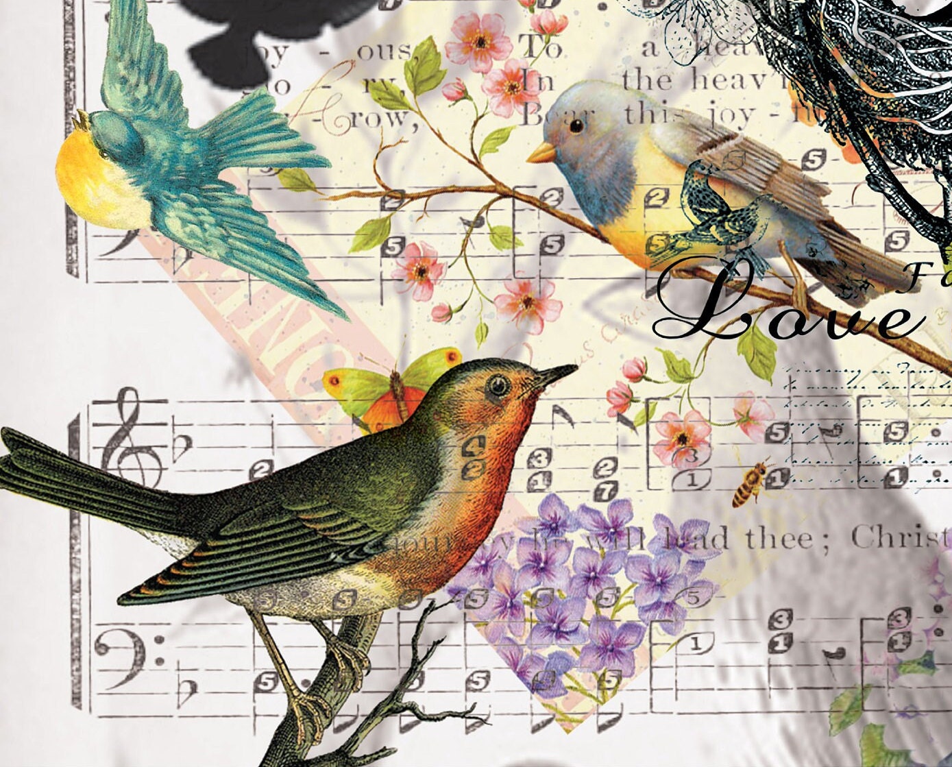 Large Decoupage Paper - Decoupage Art - Rice Paper for Decoupage - Black Blue Orange Green Birds