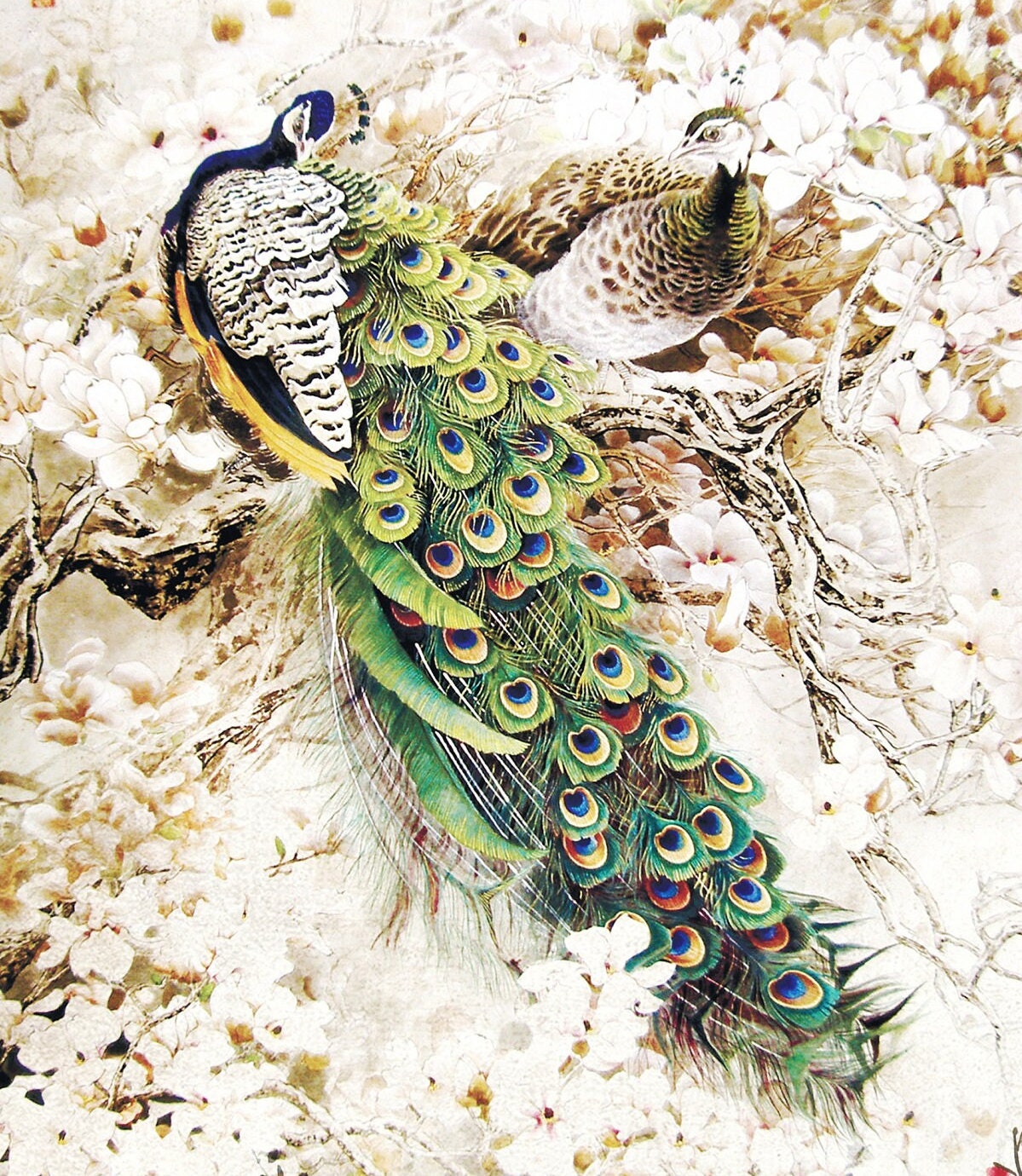 Peacock - Large Decoupage Paper - Decoupage Art - Rice Paper for Decoupage - Vintage Decoupage